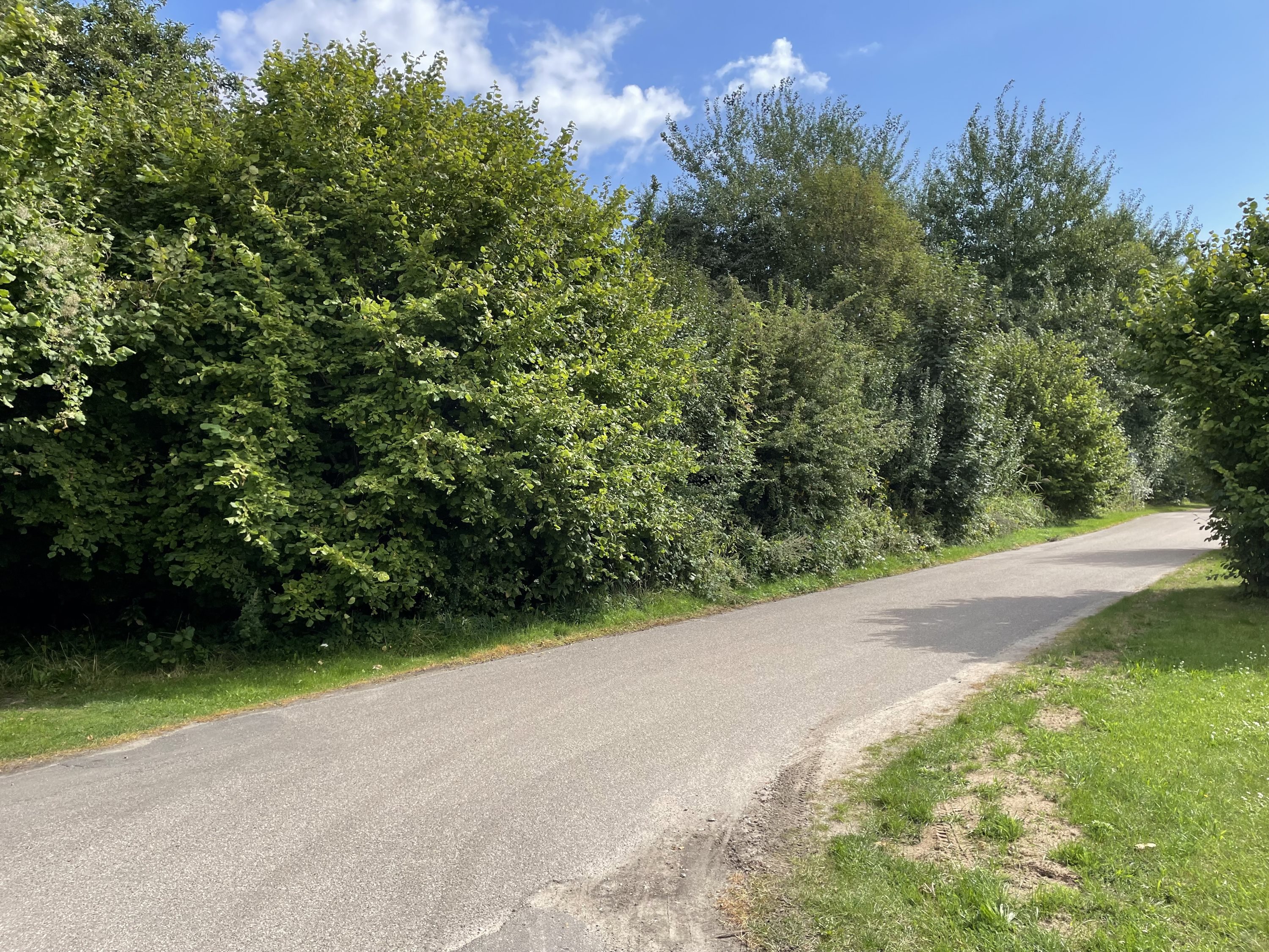 Fremhævet grund billede i fuldskærmstilstand. Billede af Sortevej 25, Gedesby, 4874 Gedser