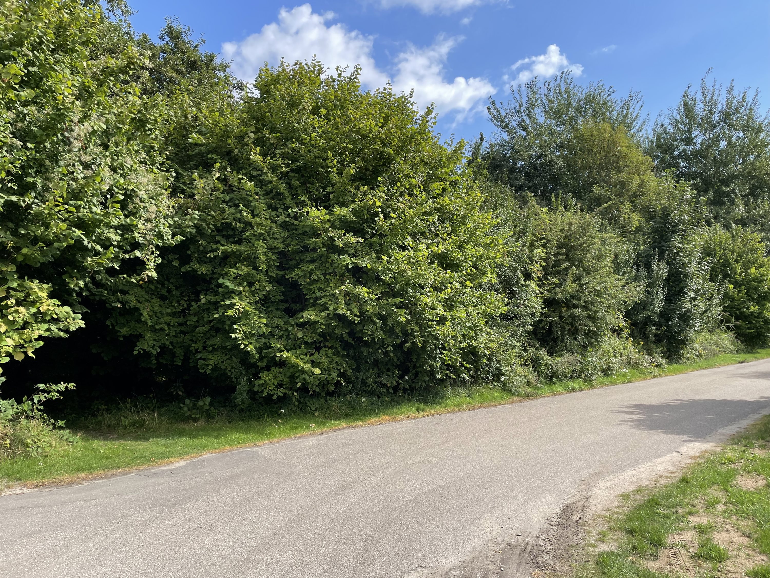 Miniaturebillede 2: grund. Billede af Sortevej 25, Gedesby, 4874 Gedser