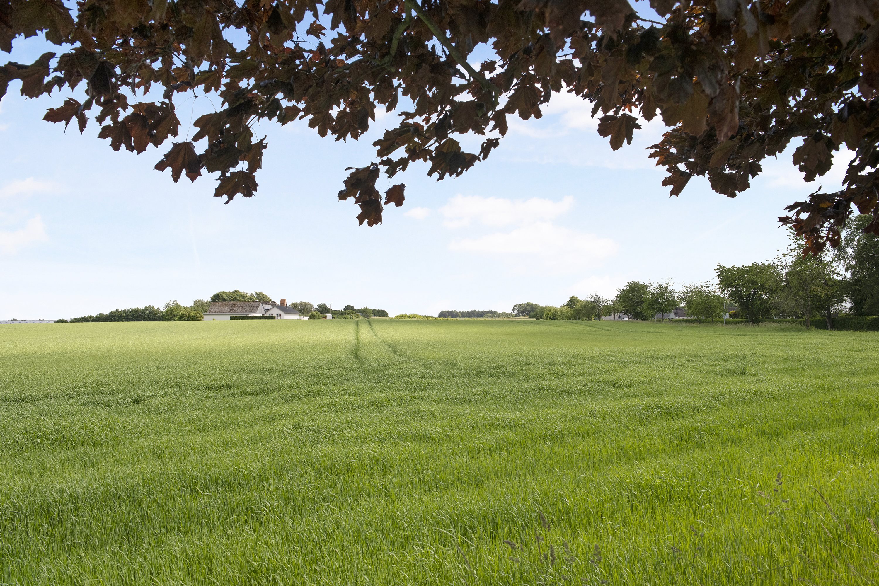 Fremhævet andet billede i fuldskærmstilstand. Billede af Valmuen 3, 9575 Terndrup