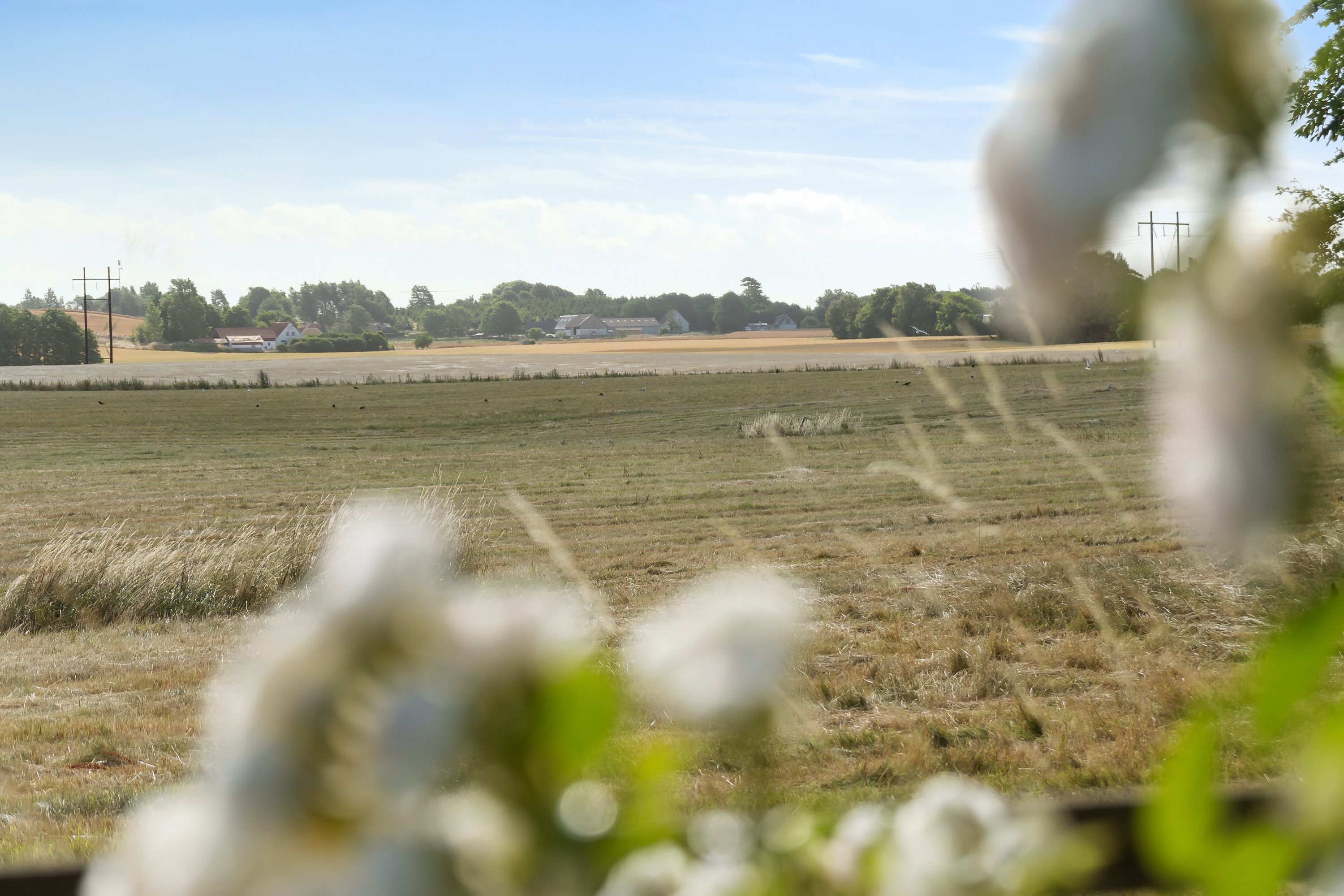 Fremhævet udsigt billede i fuldskærmstilstand. Billede af Tømmerupvej 31, 4400 Kalundborg