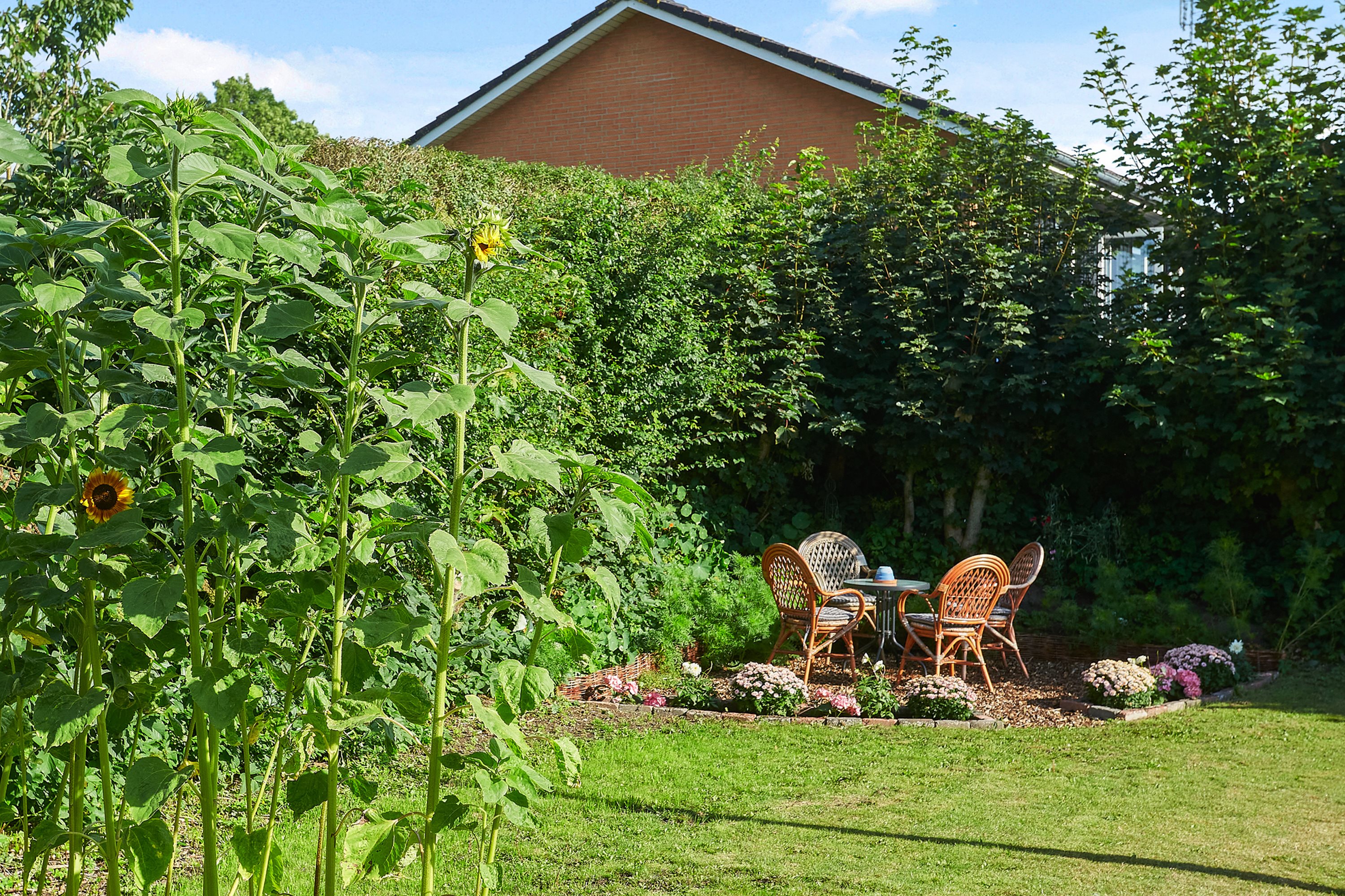 Fremhævet have billede i fuldskærmstilstand. Billede af Sønderbakken 8, Glud, 7130 Juelsminde