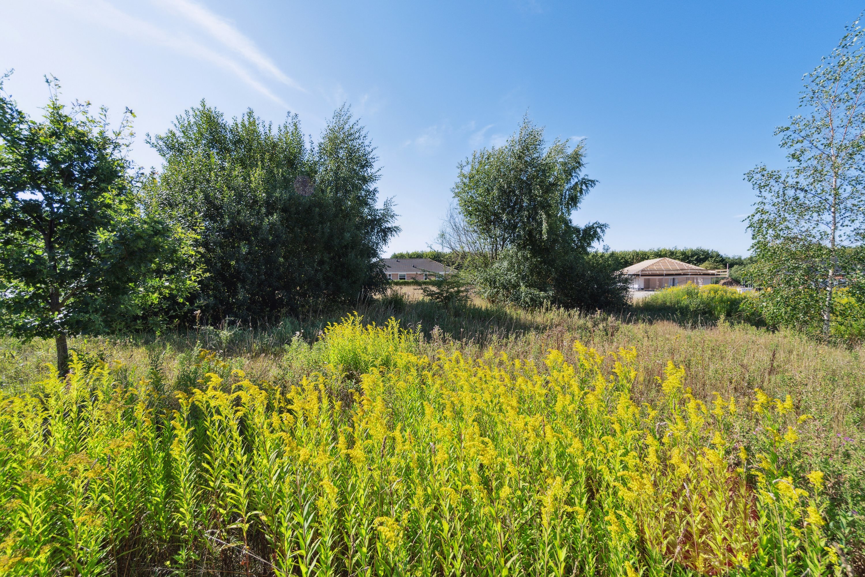 Miniaturebillede 2: omgivelser. Billede af Lindhøjgårdsvej 72, Brøderup, 4733 Tappernøje