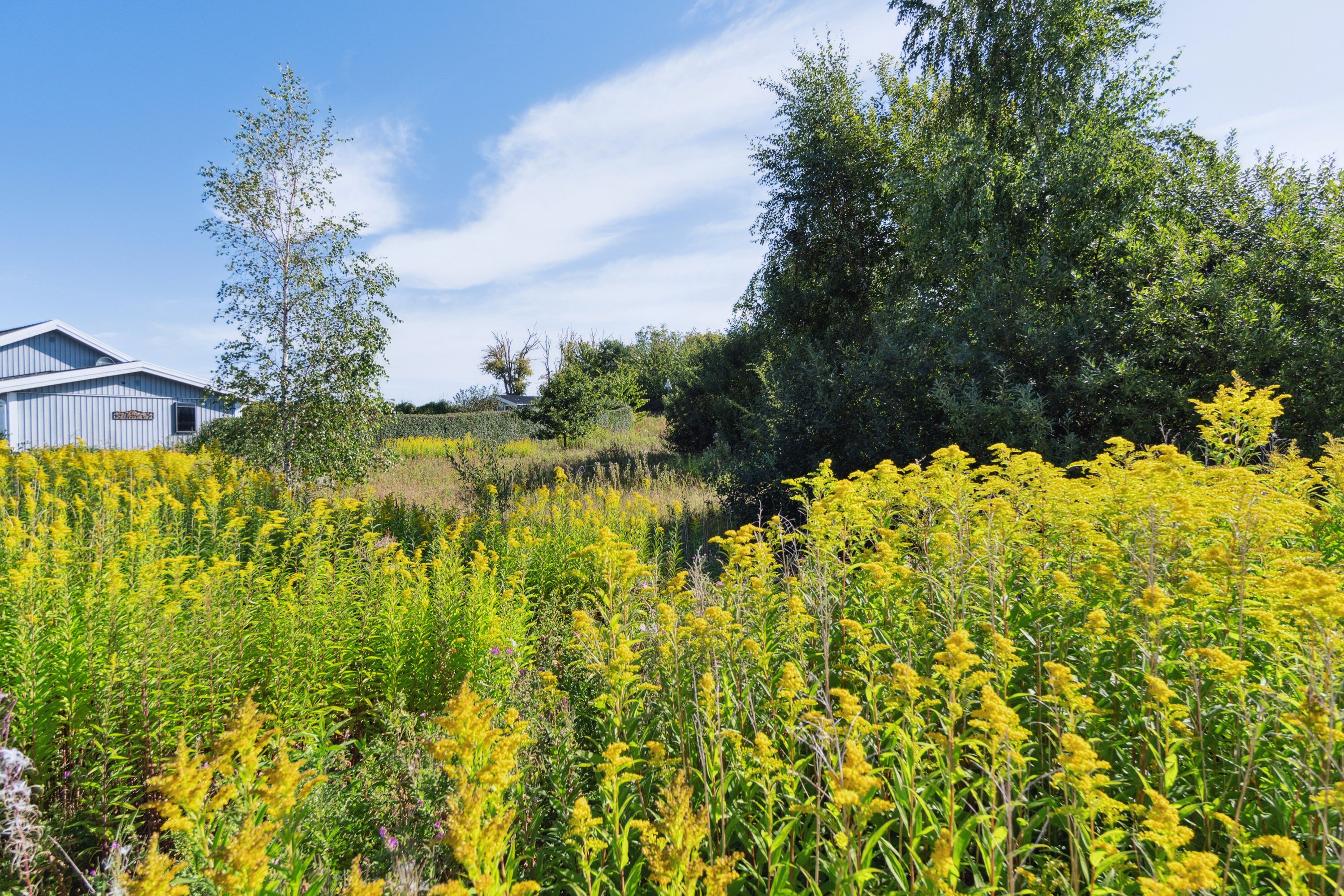 Fremhævet omgivelser billede i fuldskærmstilstand. Billede af Lindhøjgårdsvej 72, Brøderup, 4733 Tappernøje