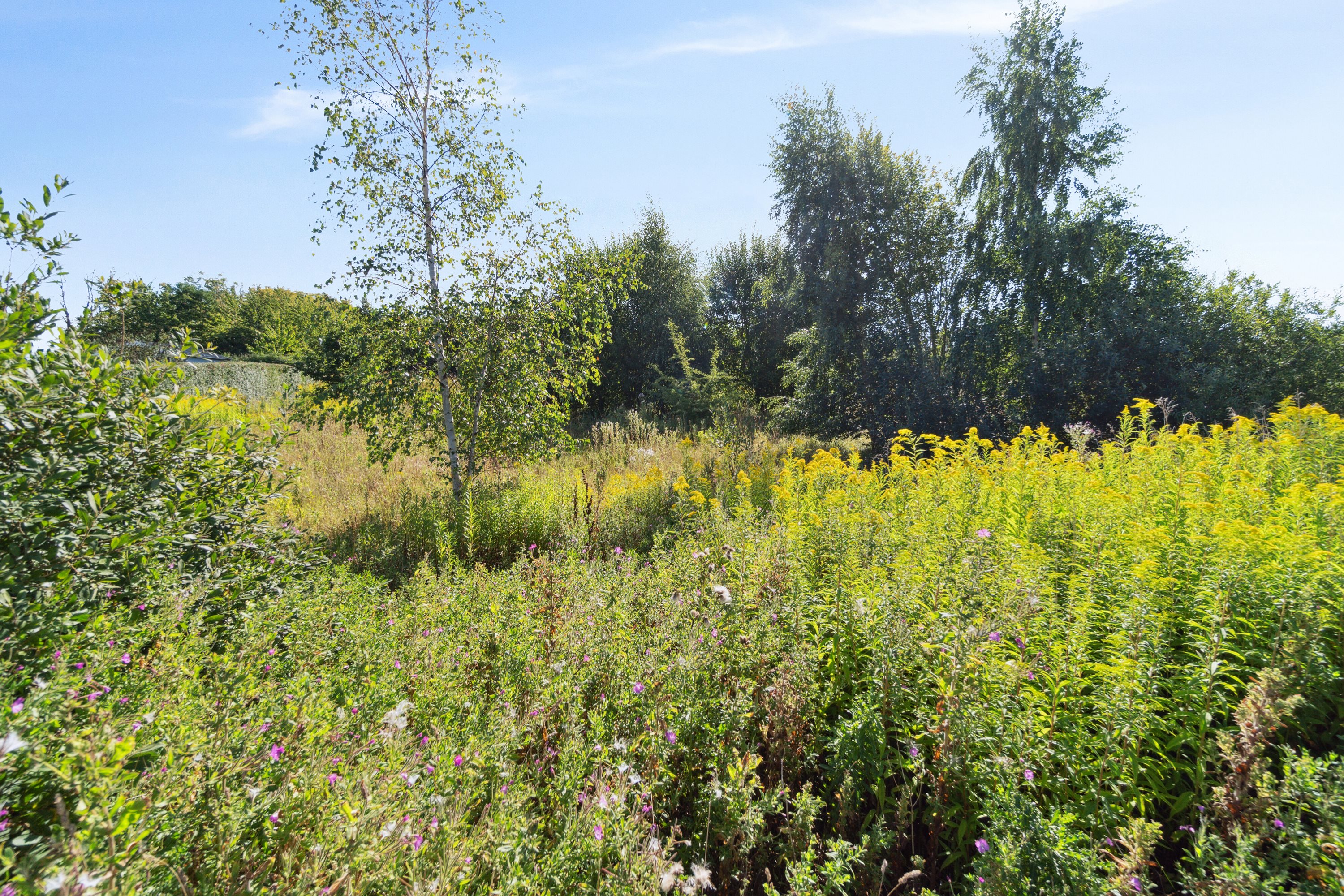 Fremhævet omgivelser billede i fuldskærmstilstand. Billede af Lindhøjgårdsvej 72, Brøderup, 4733 Tappernøje