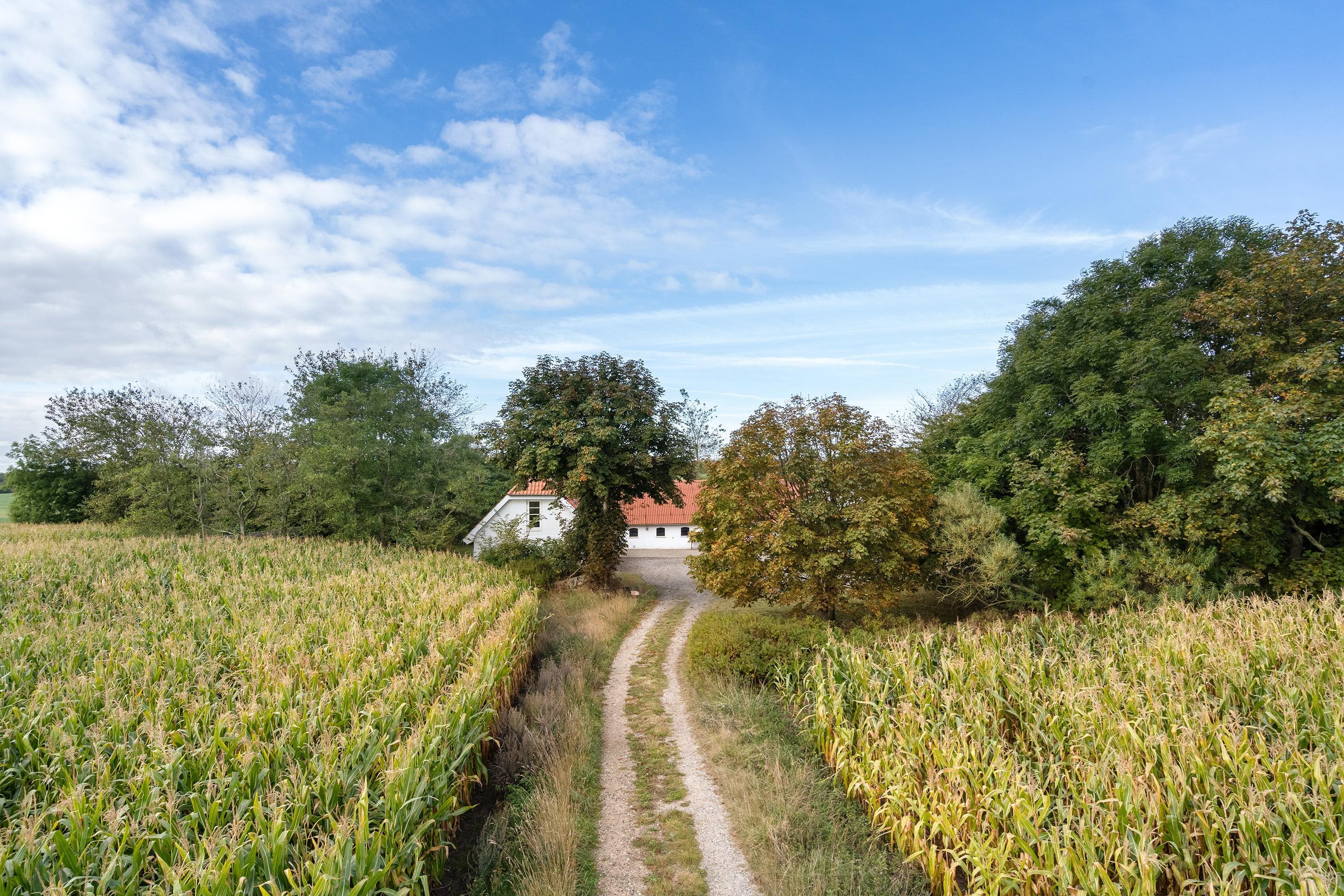 Fremhævet ejendommen billede i fuldskærmstilstand. Billede af Krustruphedevej 25, 9800 Hjørring