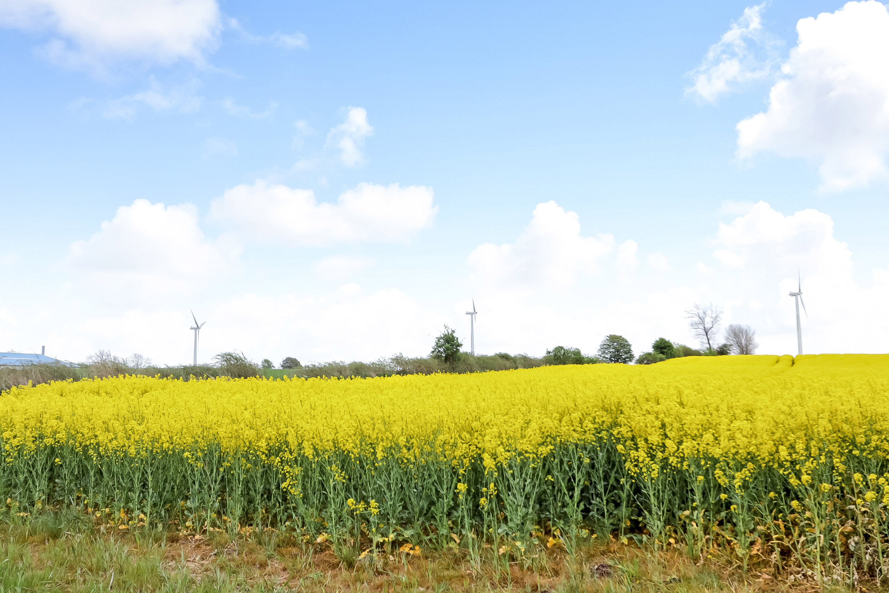 Fremhævet ejendommen billede i fuldskærmstilstand. Billede af Odensevej 51, Verninge, 5690 Tommerup