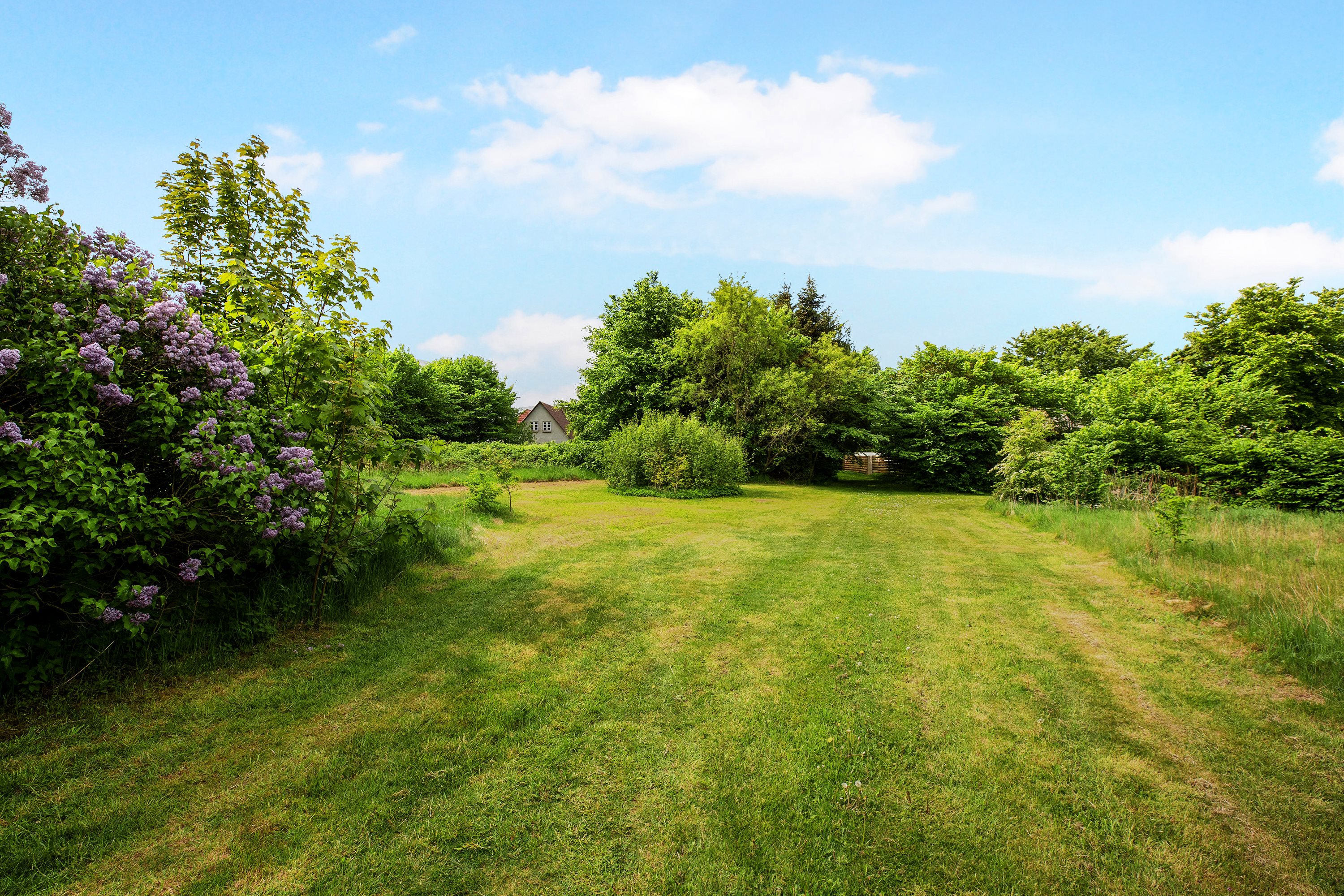 Fremhævet grund billede i fuldskærmstilstand. Billede af Sportsvej 5, Jernvedlund, 6771 Gredstedbro