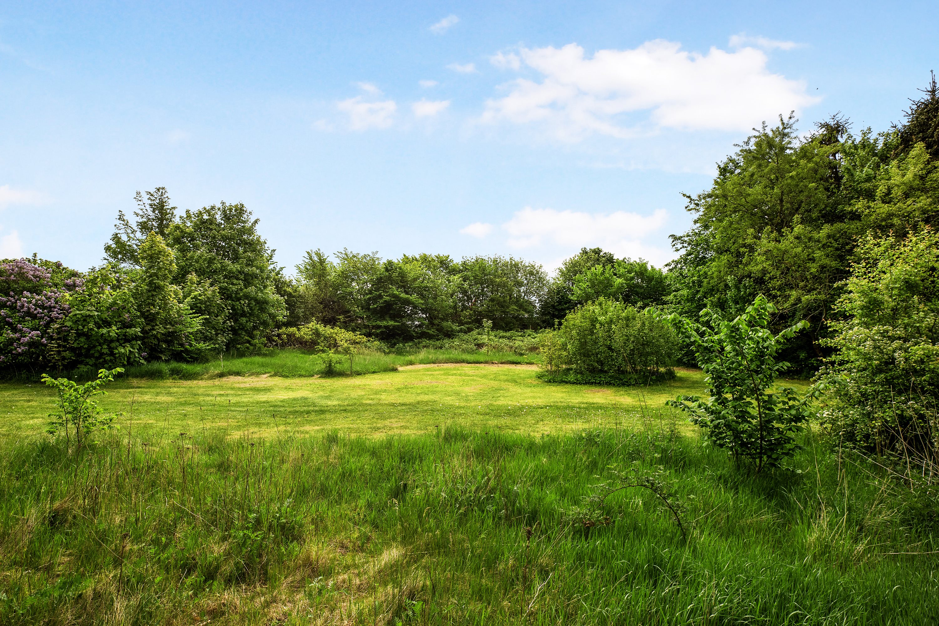 Fremhævet grund billede i fuldskærmstilstand. Billede af Sportsvej 5, Jernvedlund, 6771 Gredstedbro