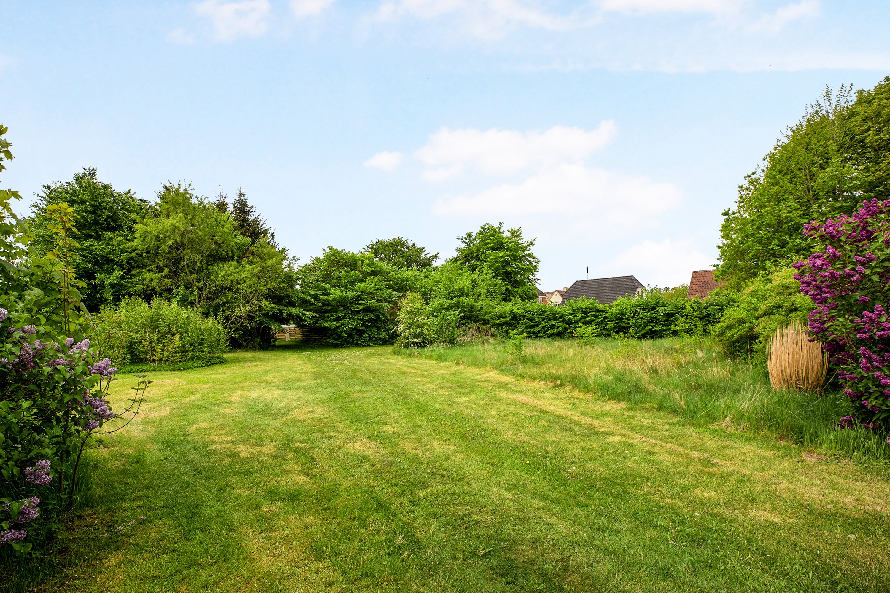 Fremhævet grund billede i fuldskærmstilstand. Billede af Sportsvej 5, Jernvedlund, 6771 Gredstedbro