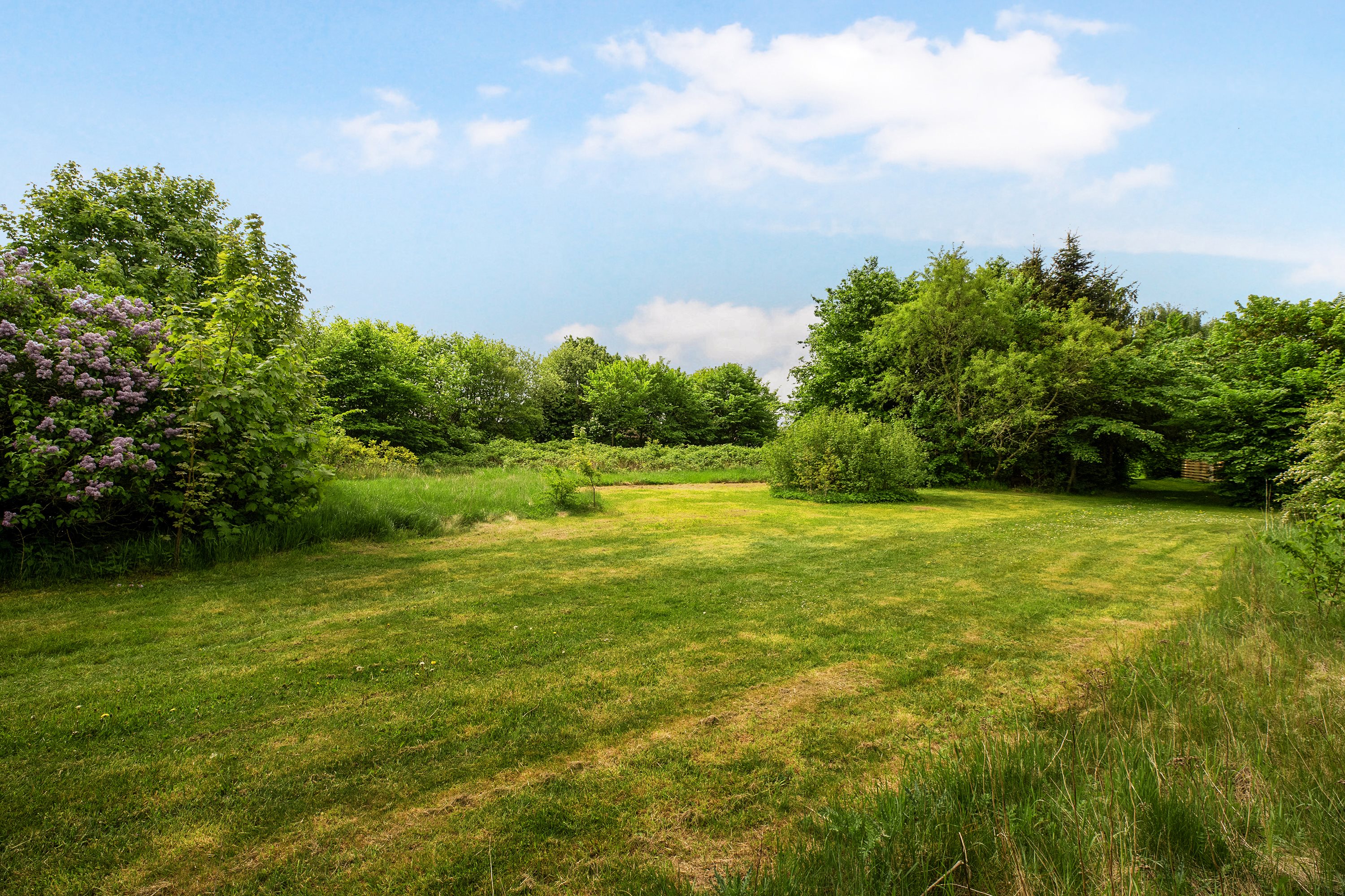 Fremhævet grund billede i fuldskærmstilstand. Billede af Sportsvej 5, Jernvedlund, 6771 Gredstedbro