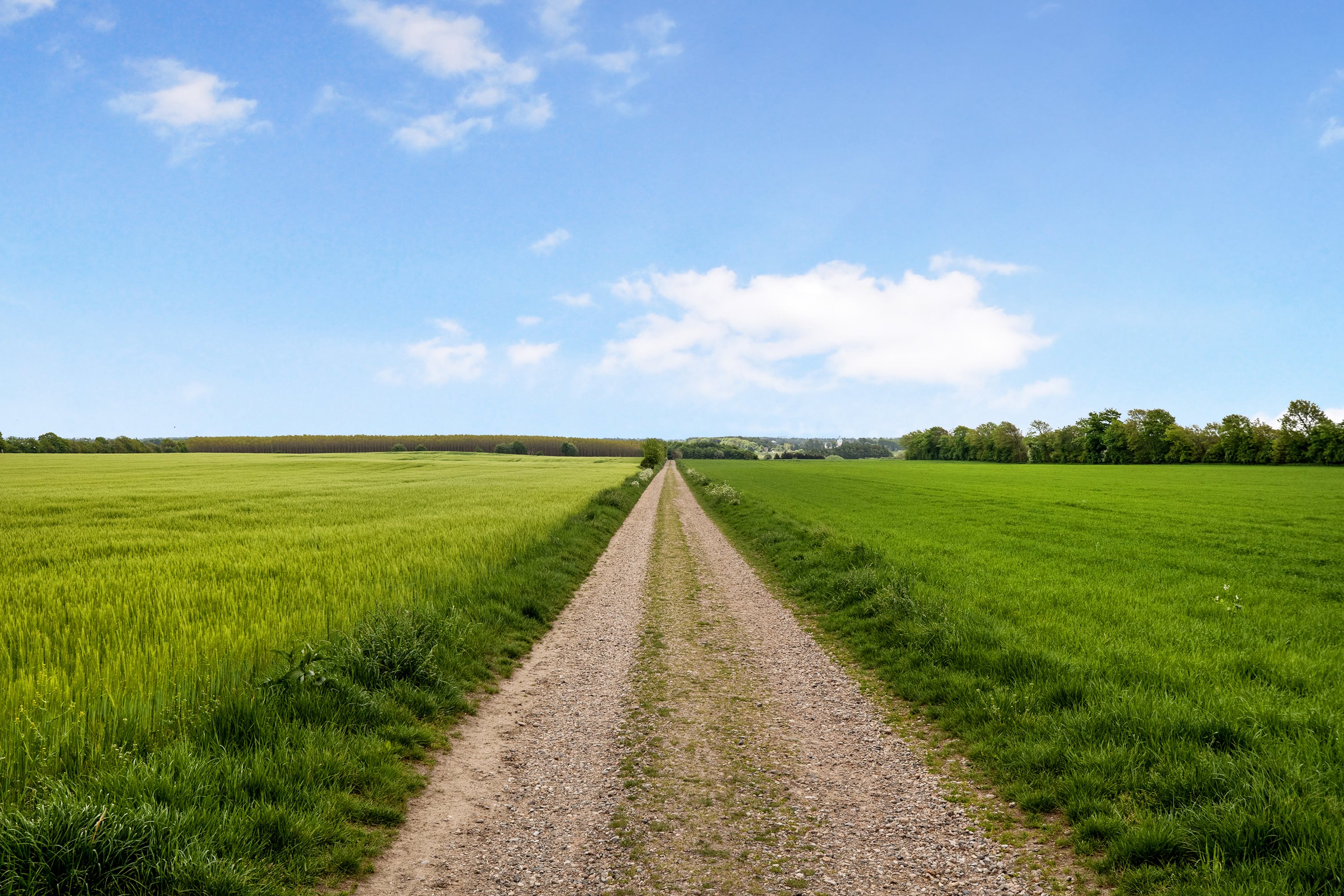 Fremhævet område billede i fuldskærmstilstand. Billede af Sportsvej 5, Jernvedlund, 6771 Gredstedbro
