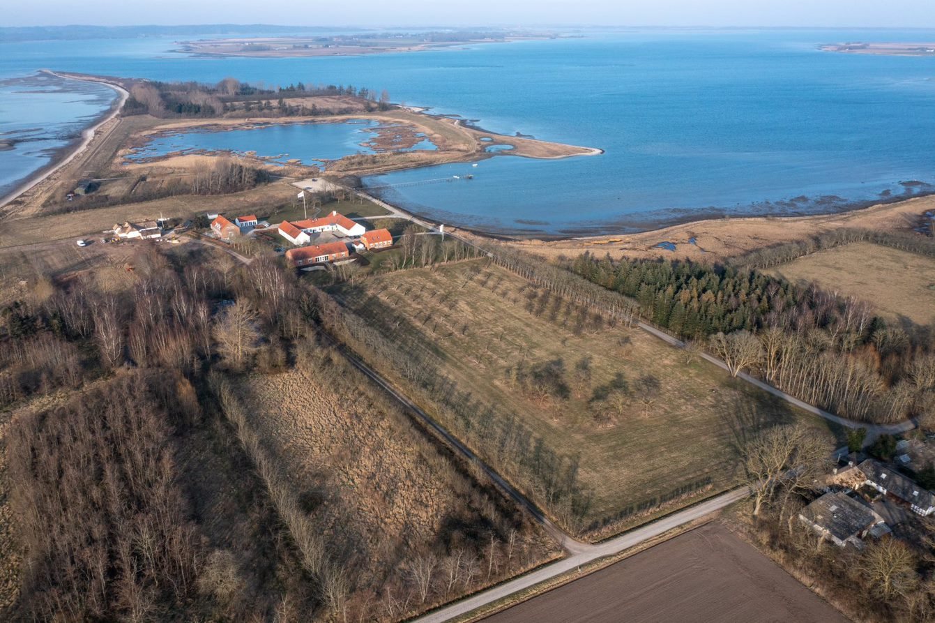 Fremhævet andet billede i fuldskærmstilstand. Billede af Søborgvej 14, Glud, 7130 Juelsminde