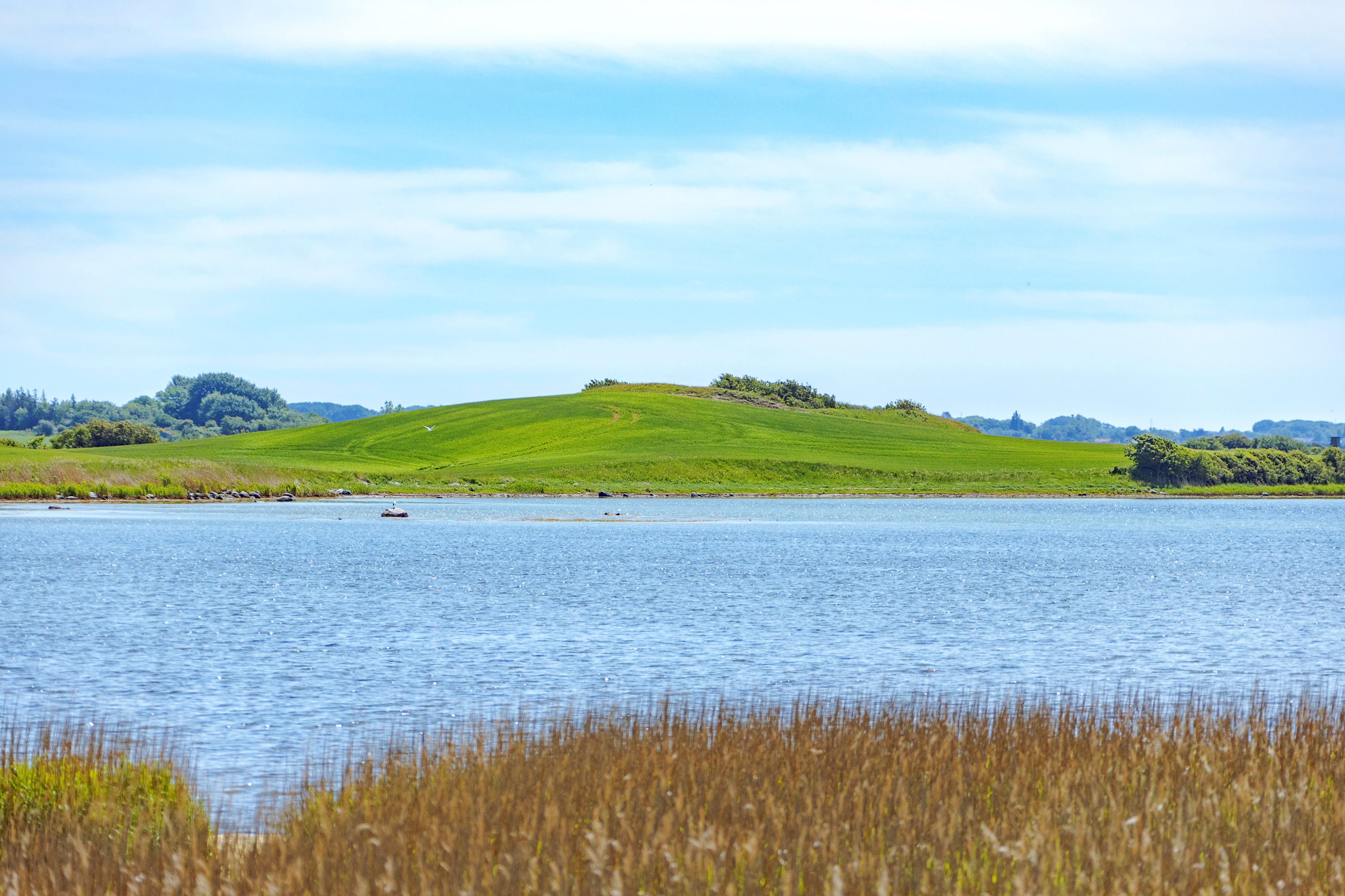 Fremhævet havudsigt billede i fuldskærmstilstand. Billede af Faarevejle Alle 1, Faarevejle, 5900 Rudkøbing