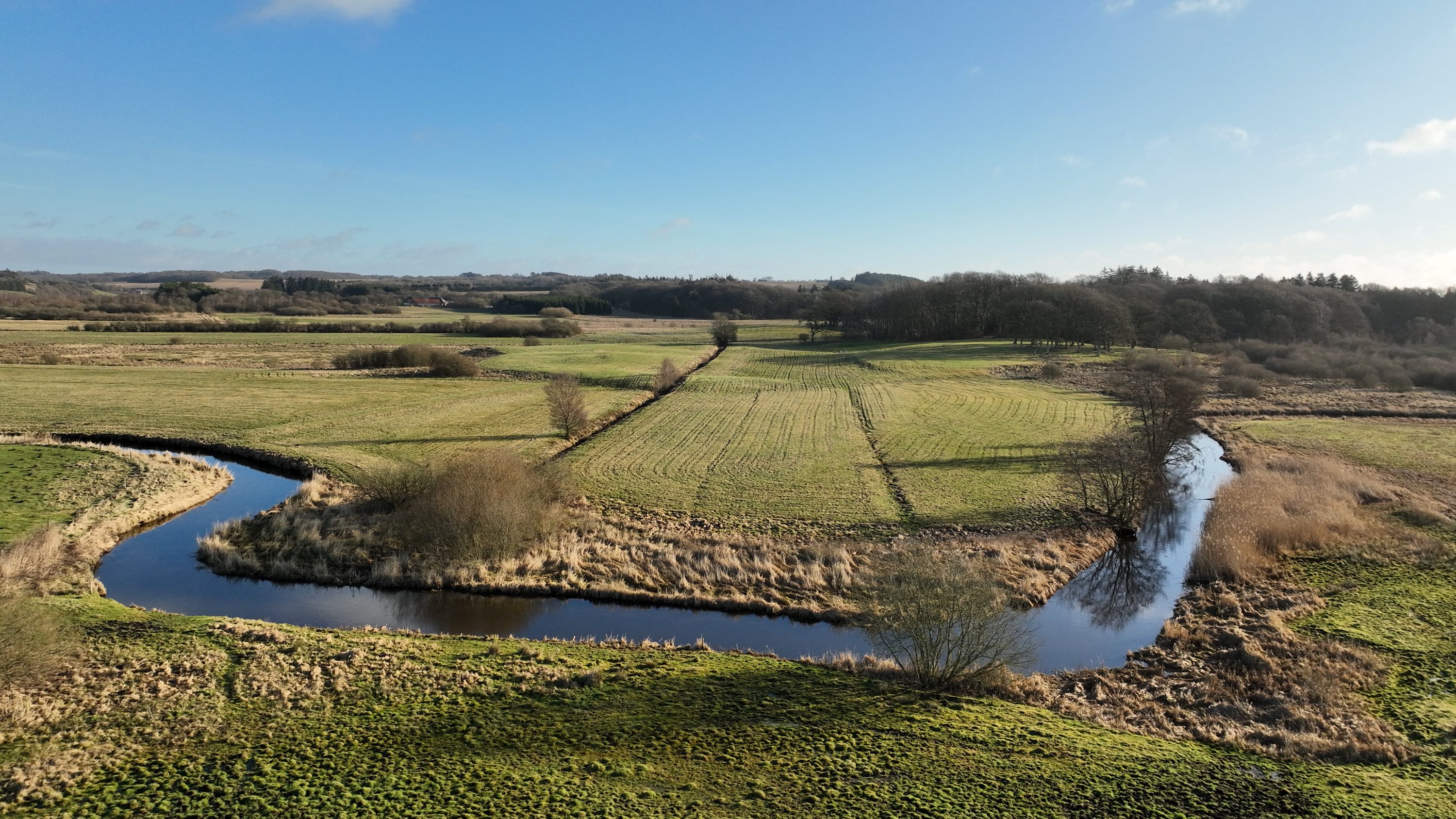 Fremhævet andet billede i fuldskærmstilstand. Billede af Ræven 41, 9530 Støvring