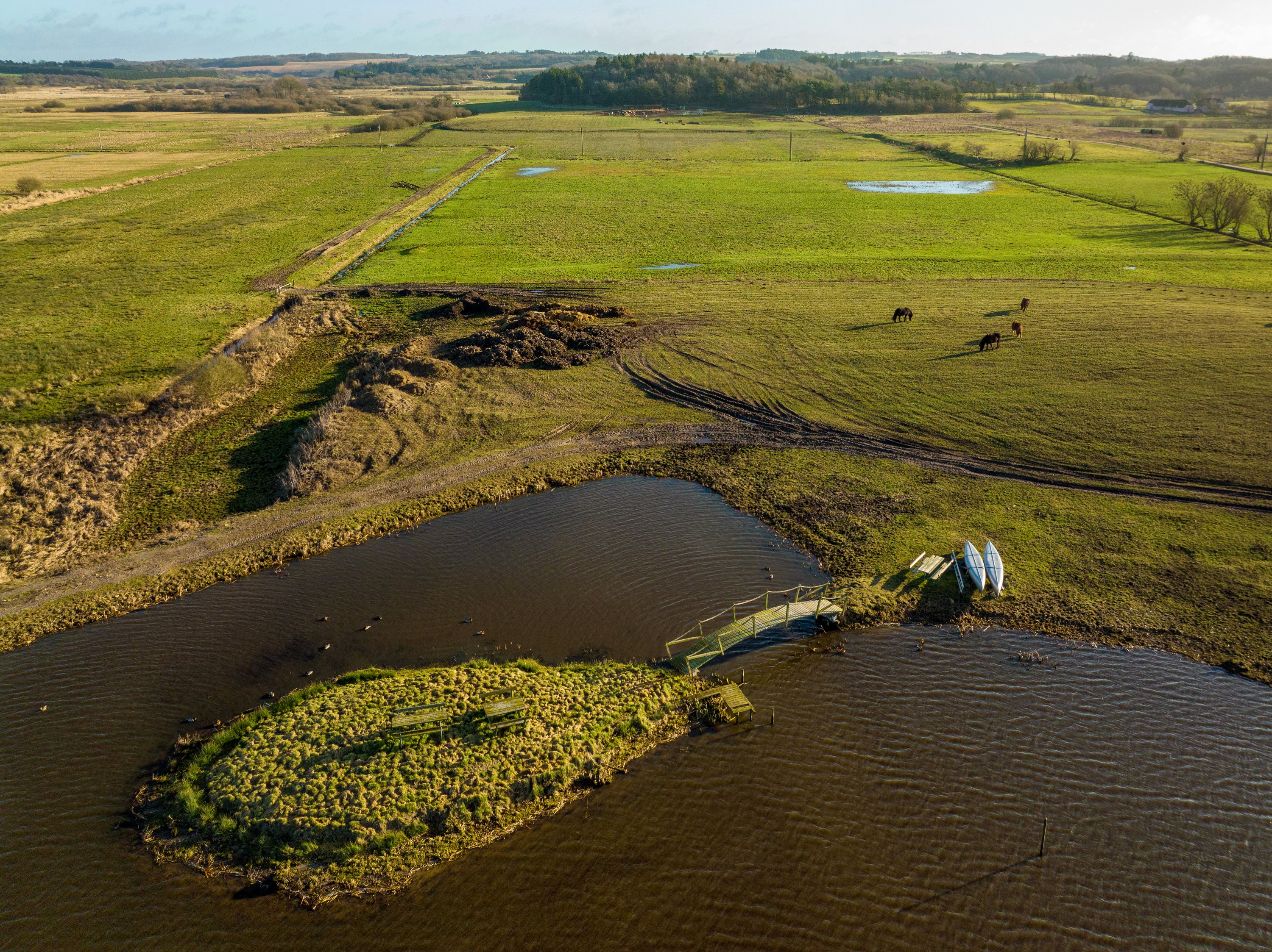 Fremhævet andet billede i fuldskærmstilstand. Billede af Ræven 41, 9530 Støvring