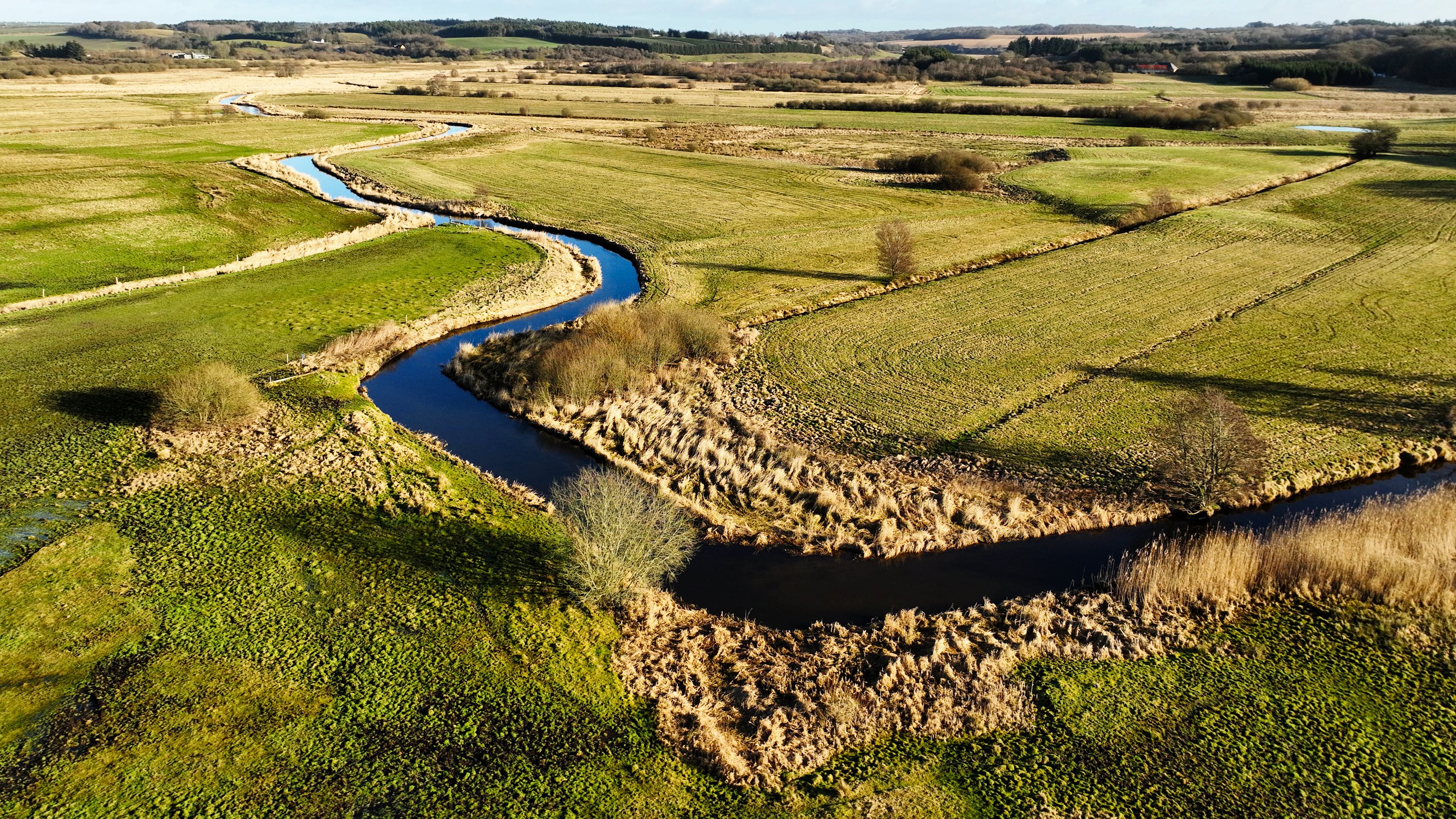 Fremhævet andet billede i fuldskærmstilstand. Billede af Ræven 25, 9530 Støvring
