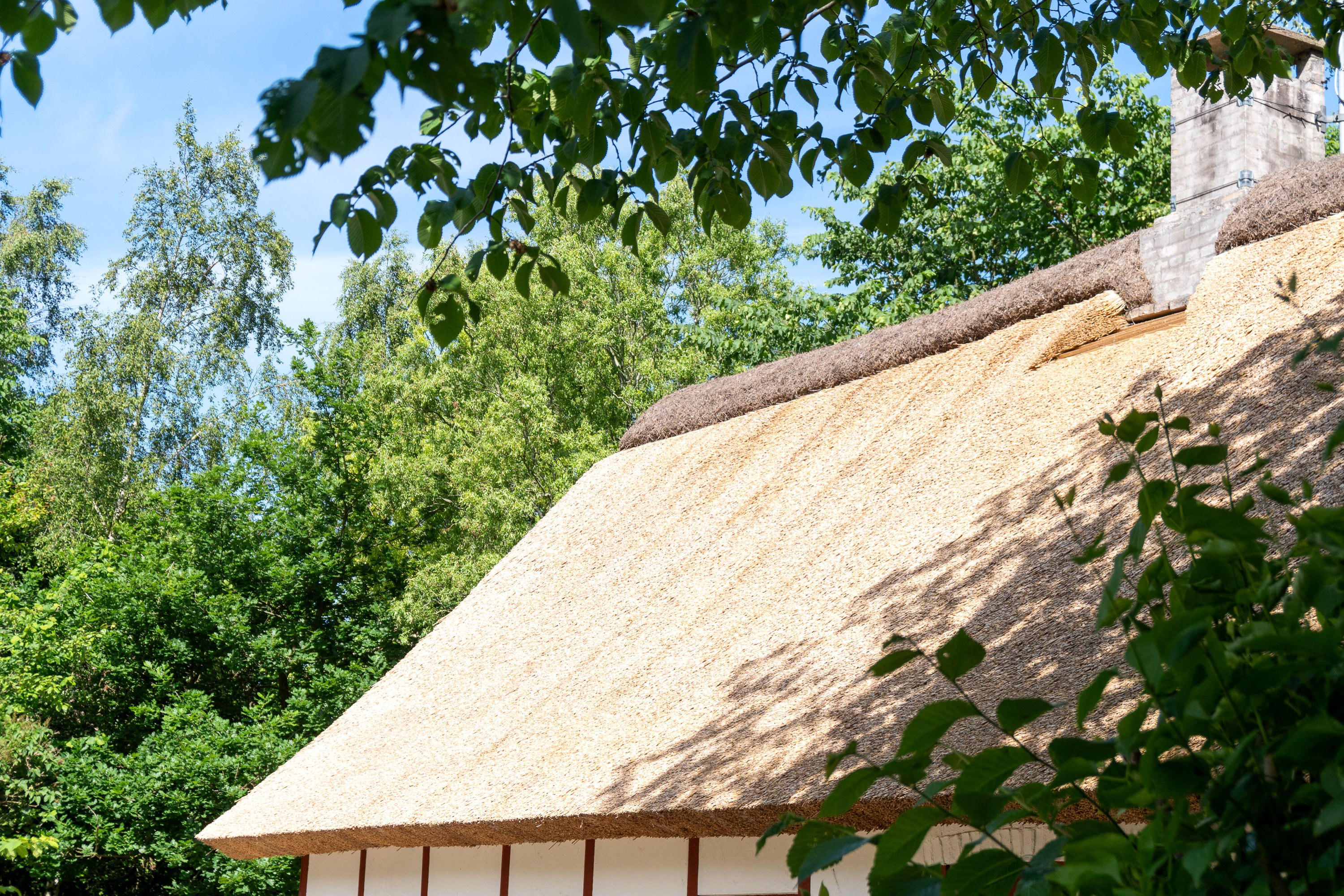 Fremhævet udendørs billede i fuldskærmstilstand. Billede af Skovløbervej 6, Klint, 4500 Nykøbing Sj