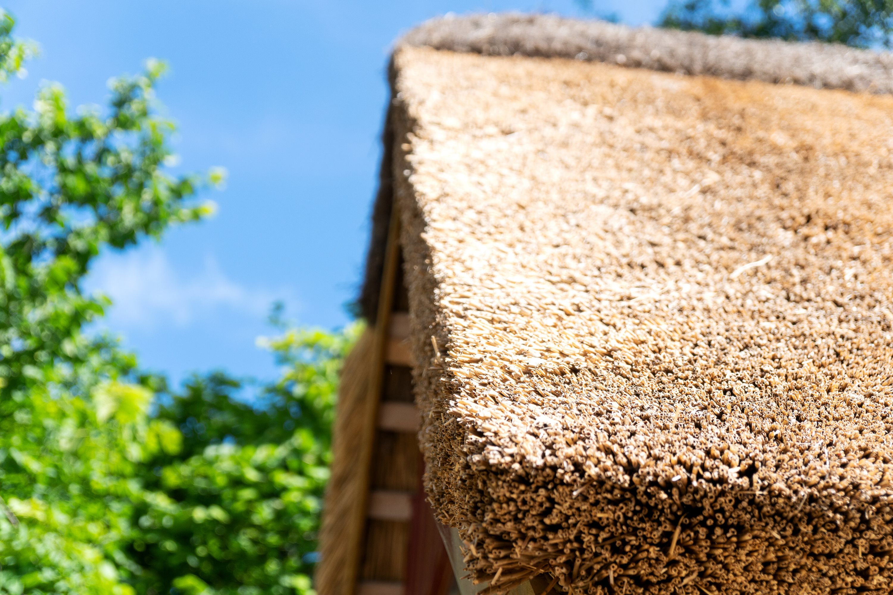 Fremhævet udendørs billede i fuldskærmstilstand. Billede af Skovløbervej 6, Klint, 4500 Nykøbing Sj