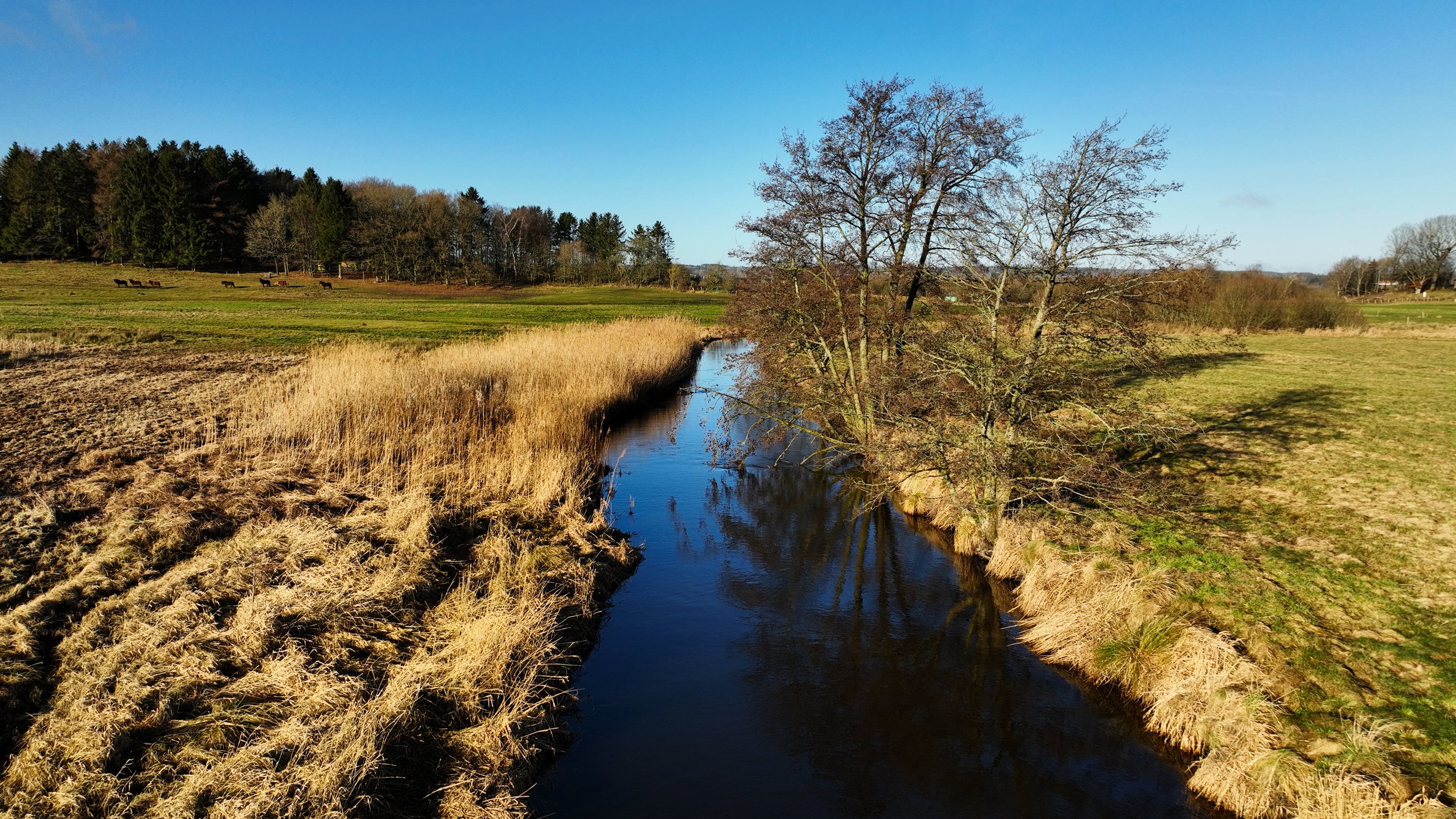 Fremhævet andet billede i fuldskærmstilstand. Billede af Ræven 33, 9530 Støvring
