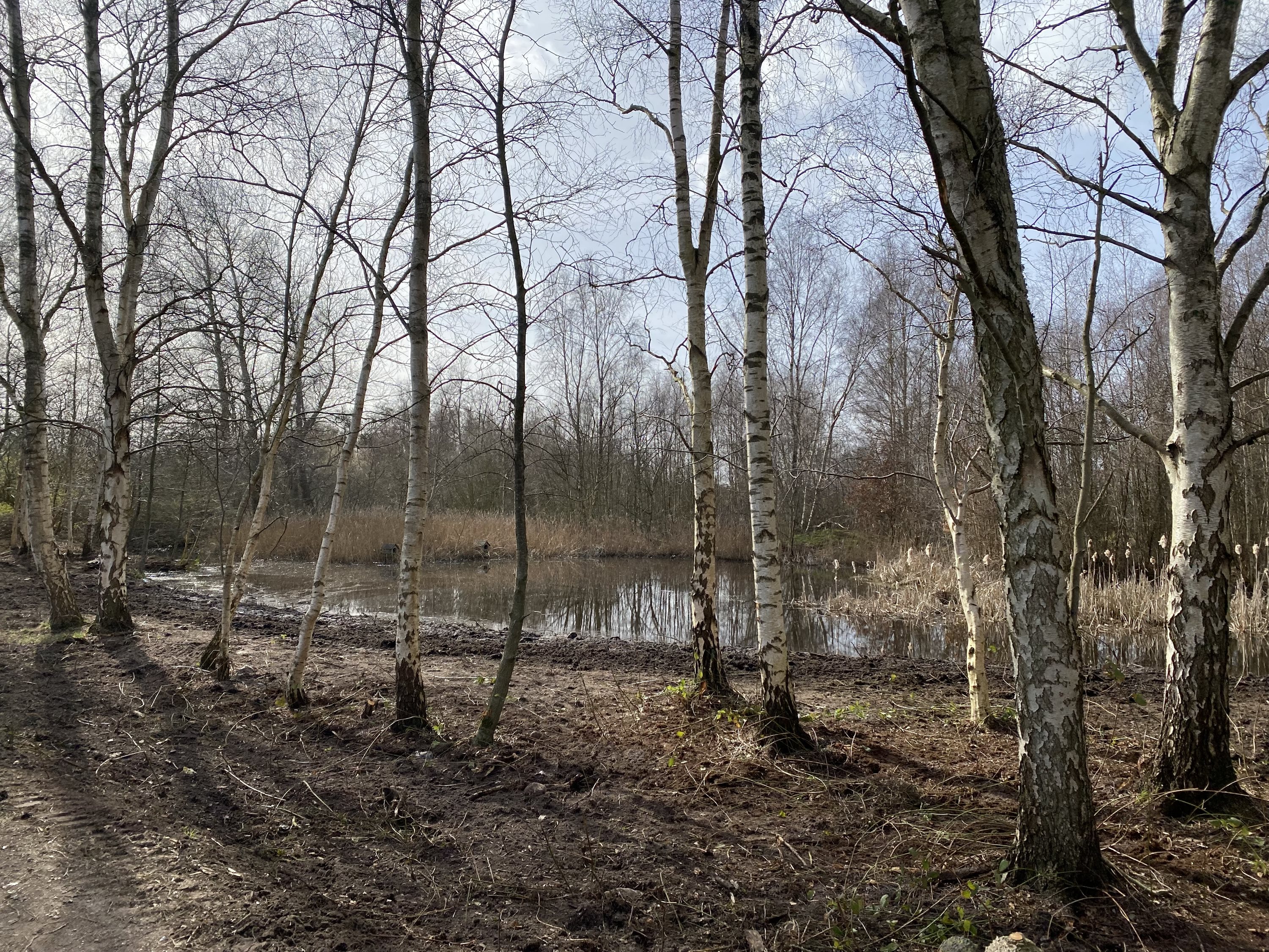 Fremhævet andet billede i fuldskærmstilstand. Billede af Søborgvej 14, Glud, 7130 Juelsminde