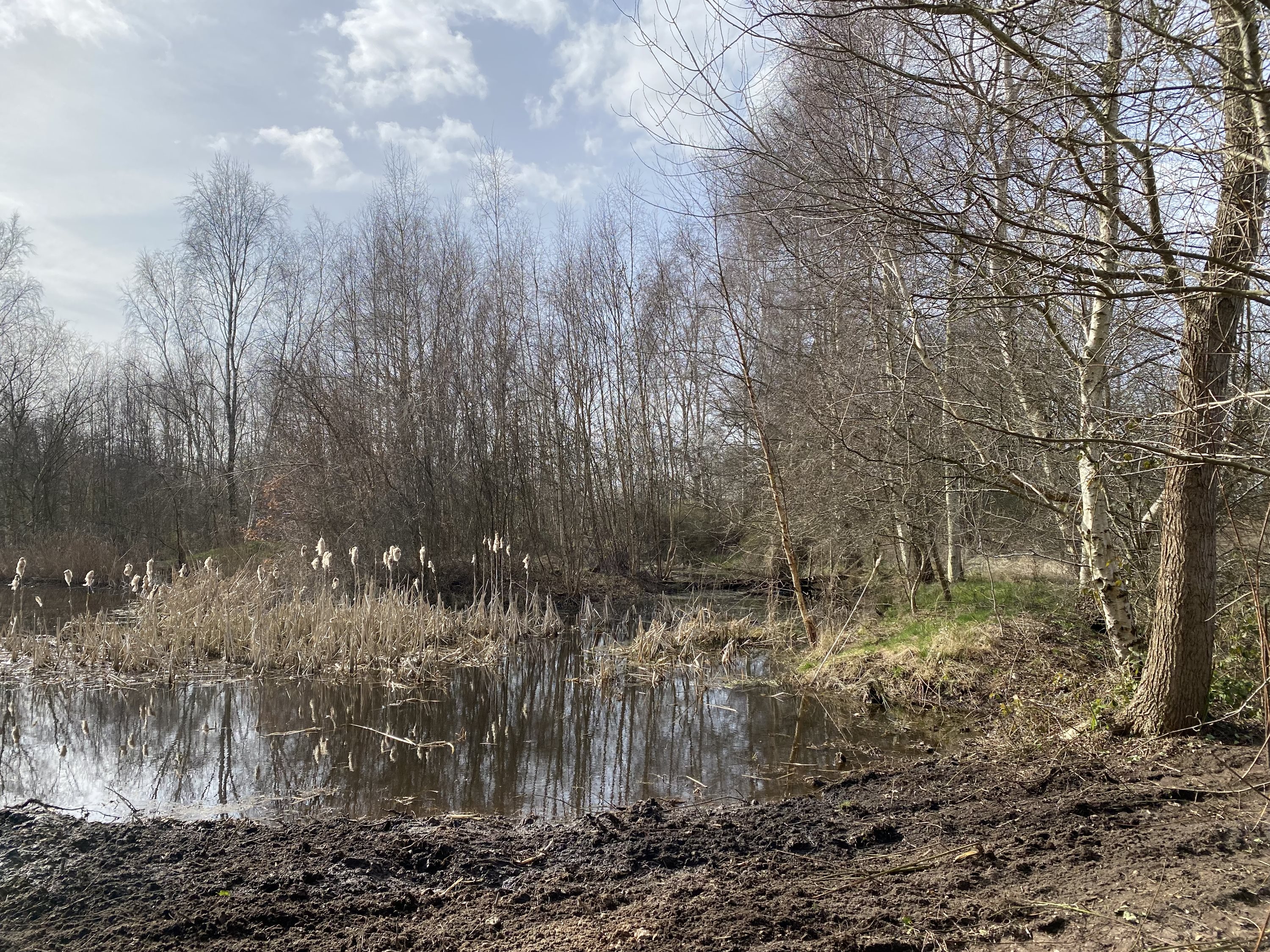 Fremhævet andet billede i fuldskærmstilstand. Billede af Søborgvej 14, Glud, 7130 Juelsminde