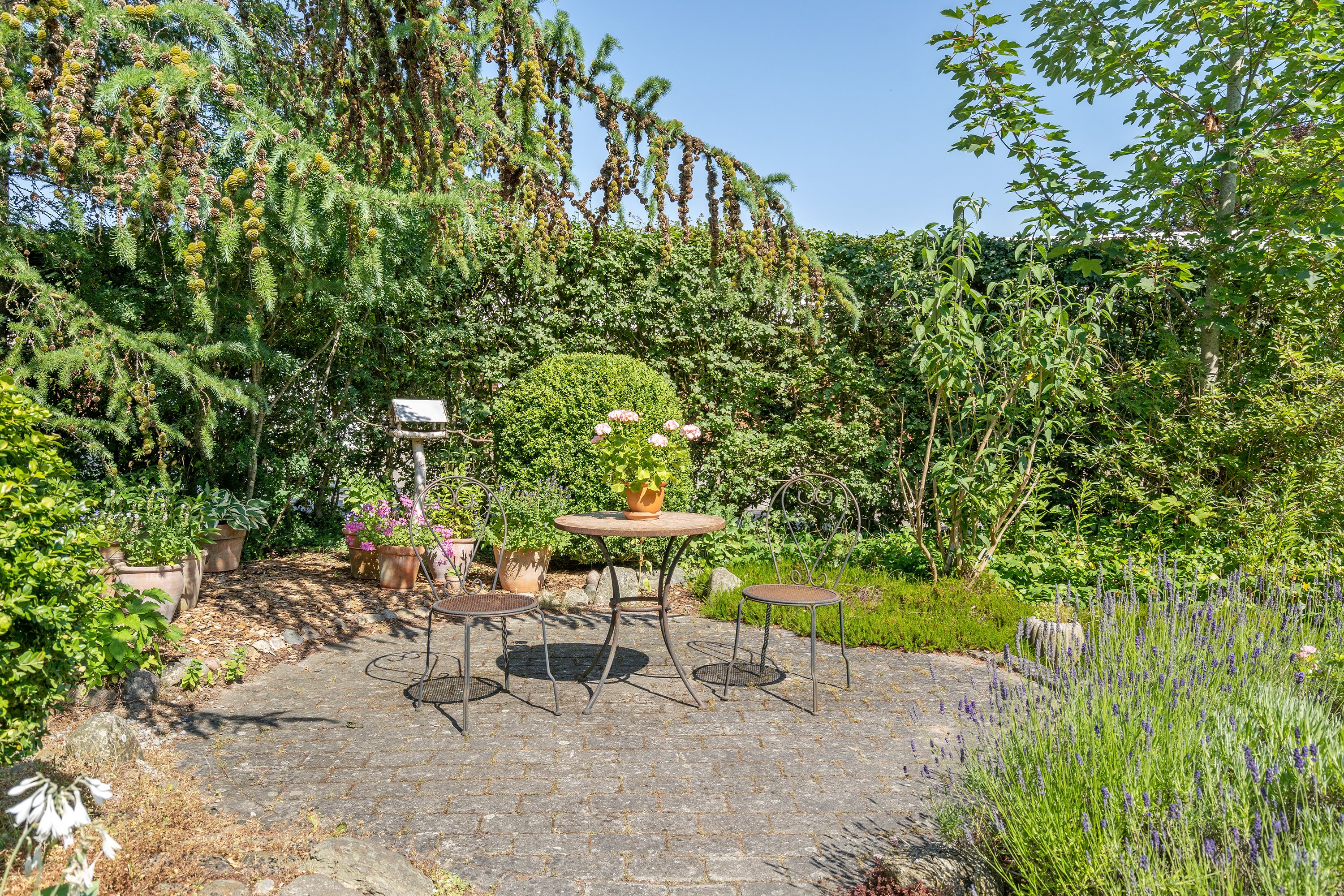 Fremhævet have billede i fuldskærmstilstand. Billede af Amtsvejen 97, Mellerup, 8930 Randers NØ