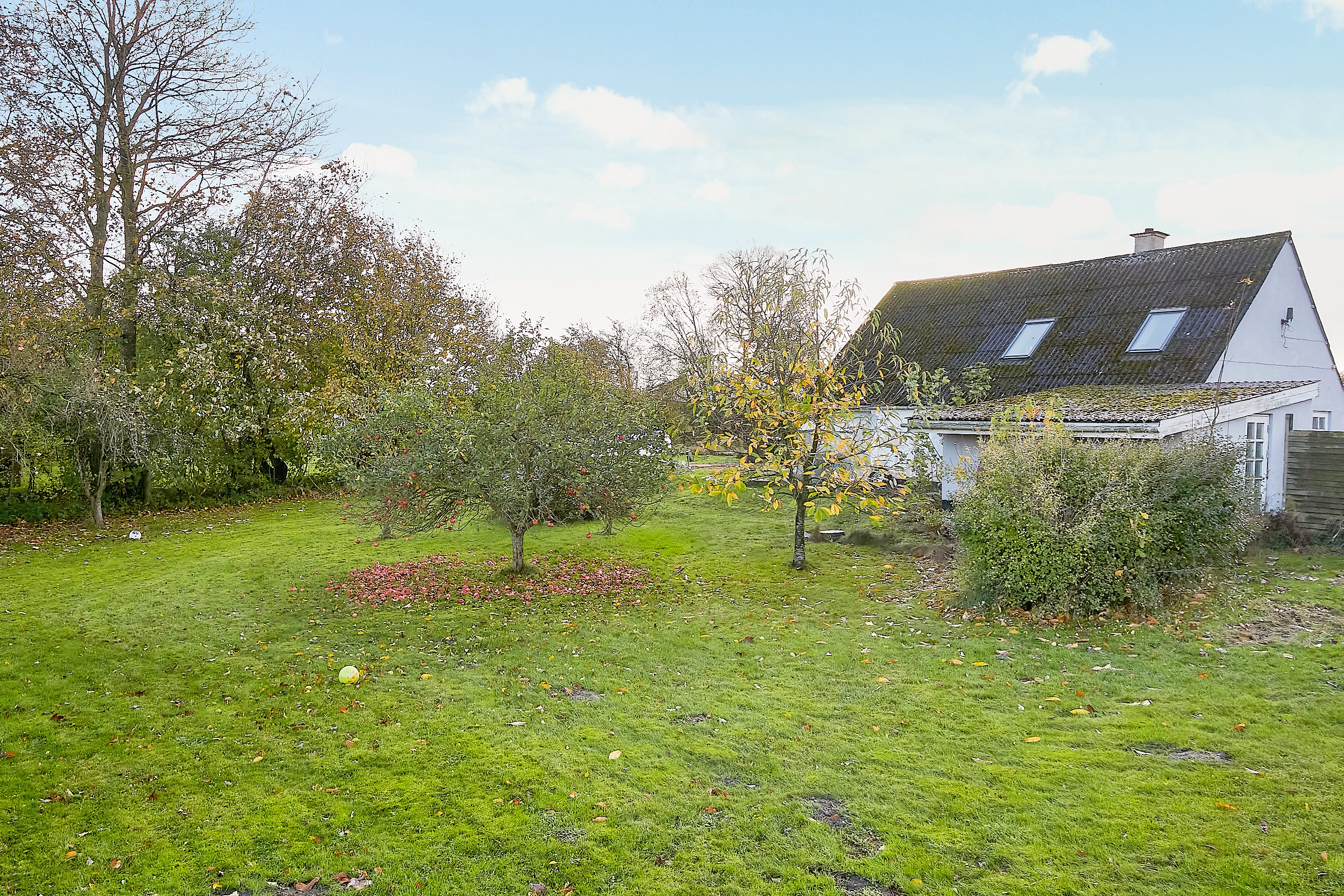 Fremhævet have billede i fuldskærmstilstand. Billede af Bjørnkærvej 30, 8783 Hornsyld