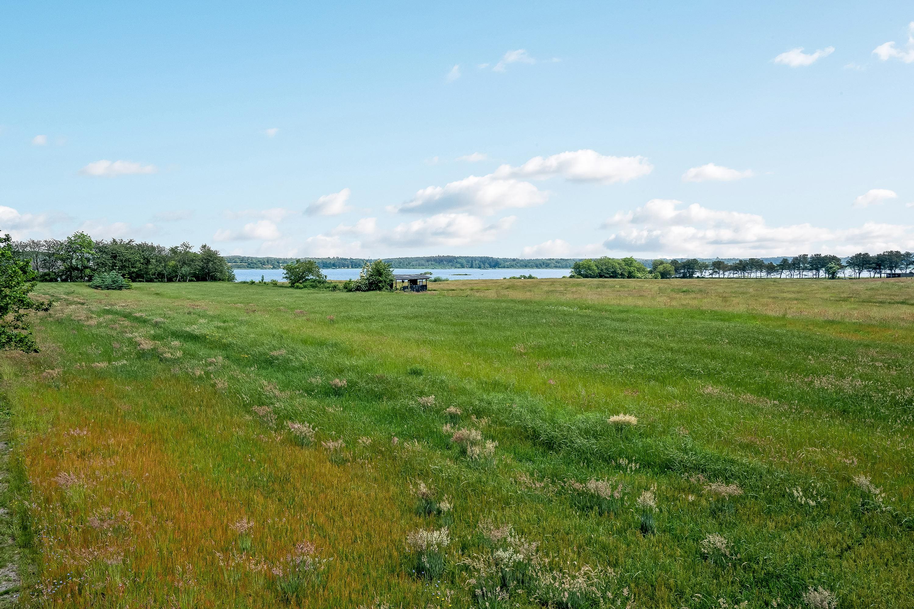 Miniaturebillede 2: område. Billede af Tjørnevej 62, 7442 Engesvang