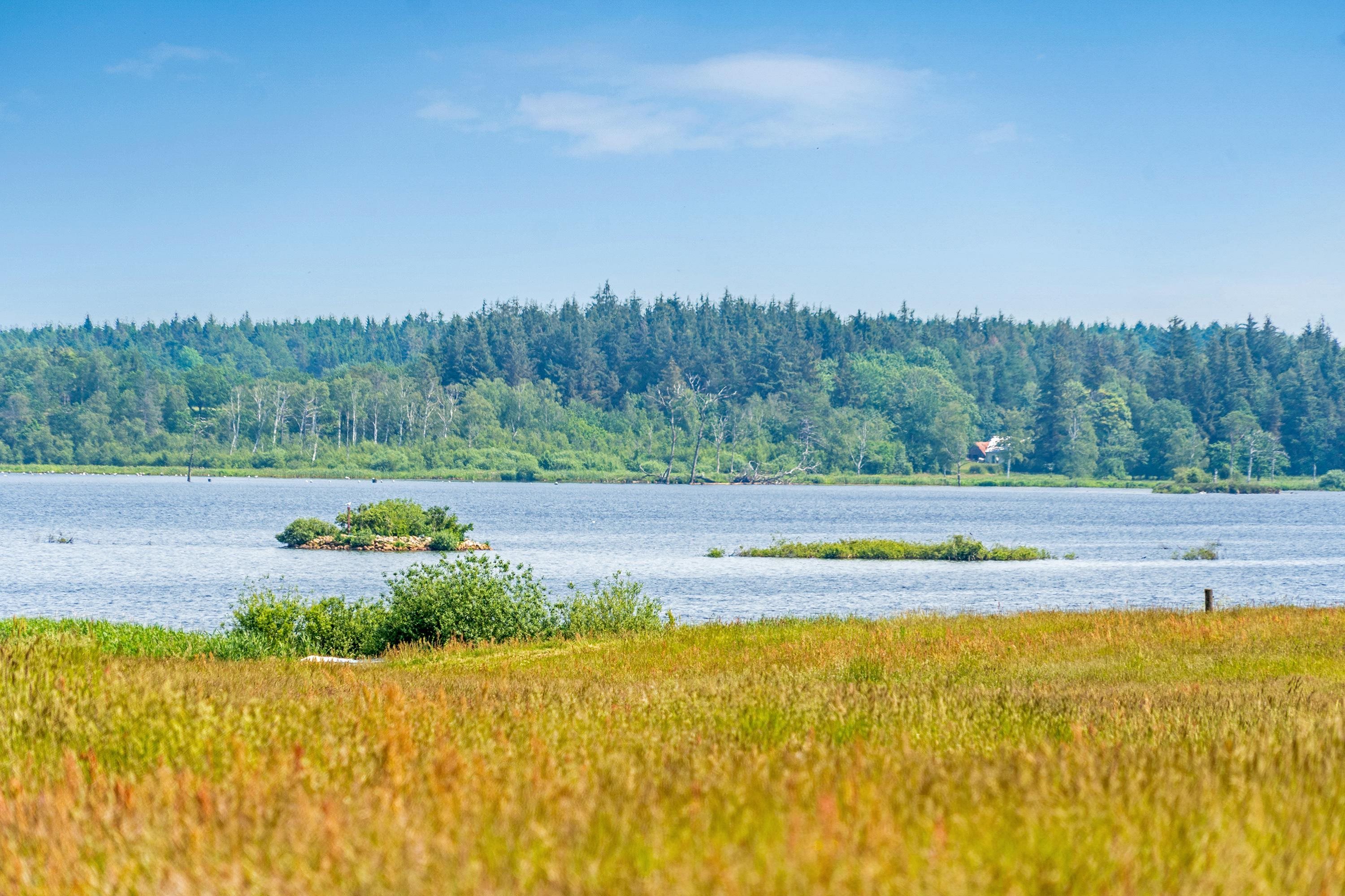 Fremhævet andet billede i fuldskærmstilstand. Billede af Tjørnevej 62, 7442 Engesvang