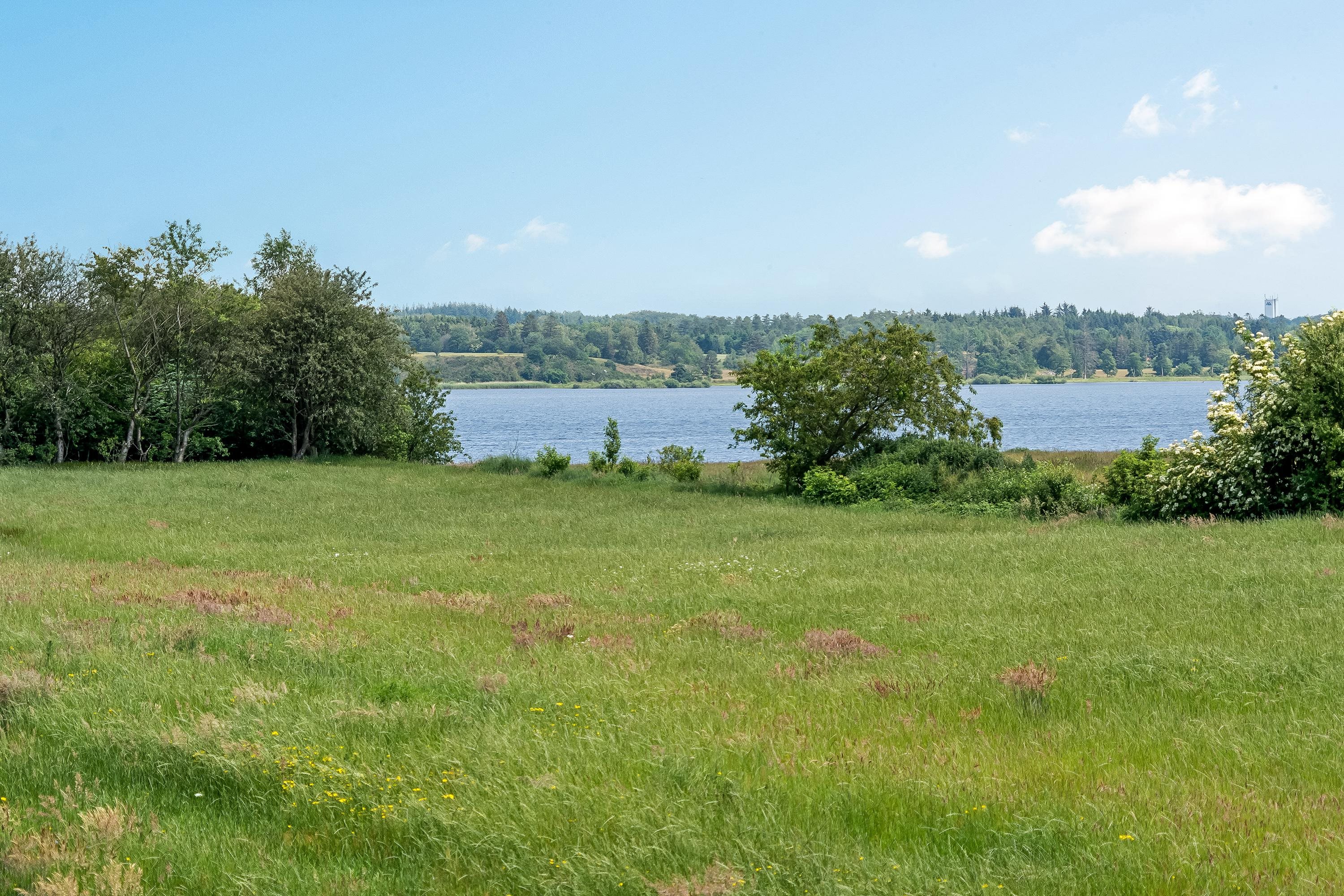 Miniaturebillede 1: område. Billede af Tjørnevej 62, 7442 Engesvang