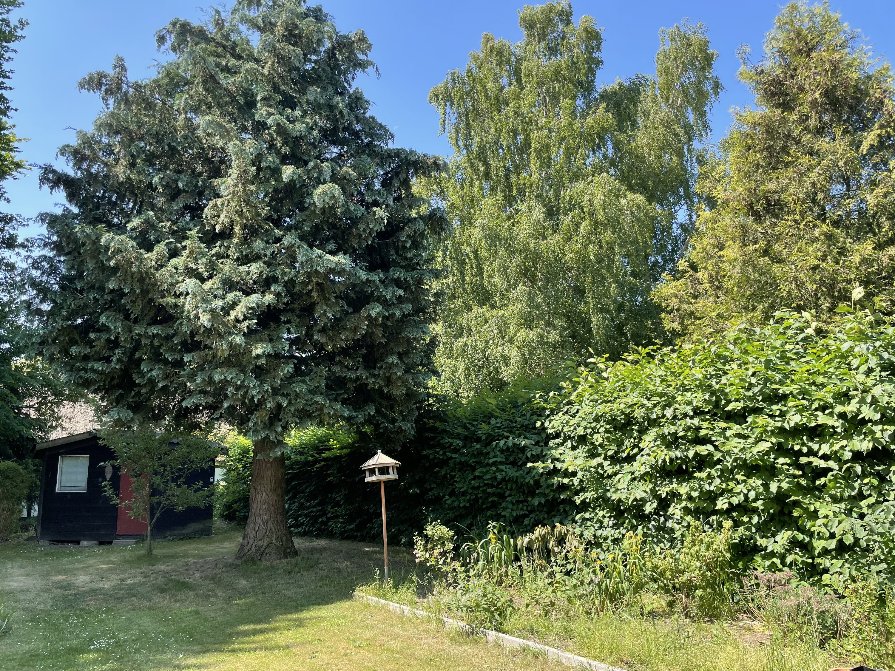 Fremhævet have billede i fuldskærmstilstand. Billede af Århusvej 104, Sander, 8300 Odder