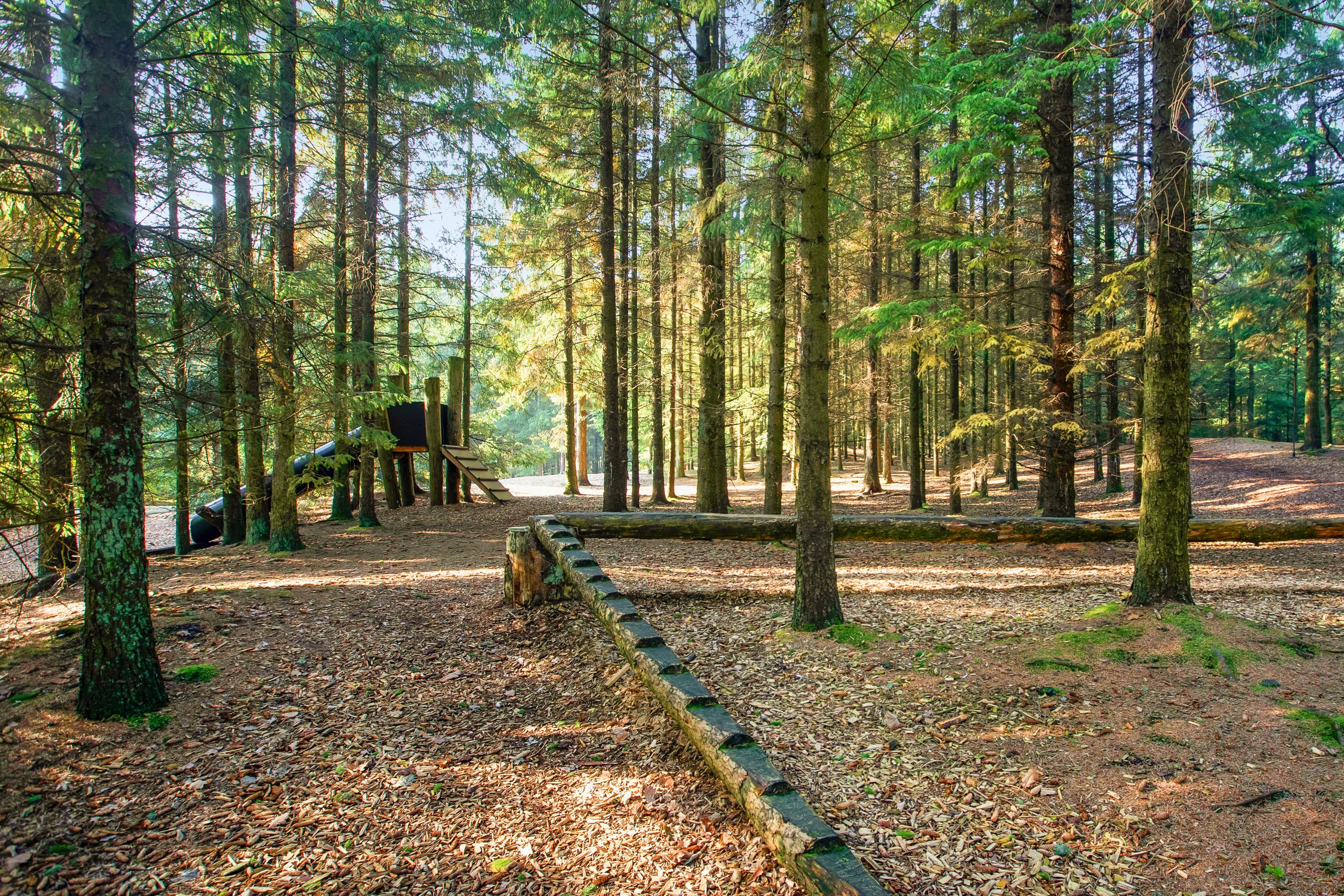 Fremhævet område billede i fuldskærmstilstand. Billede af Strandvejen 150, 18., Tranum, 9460 Brovst