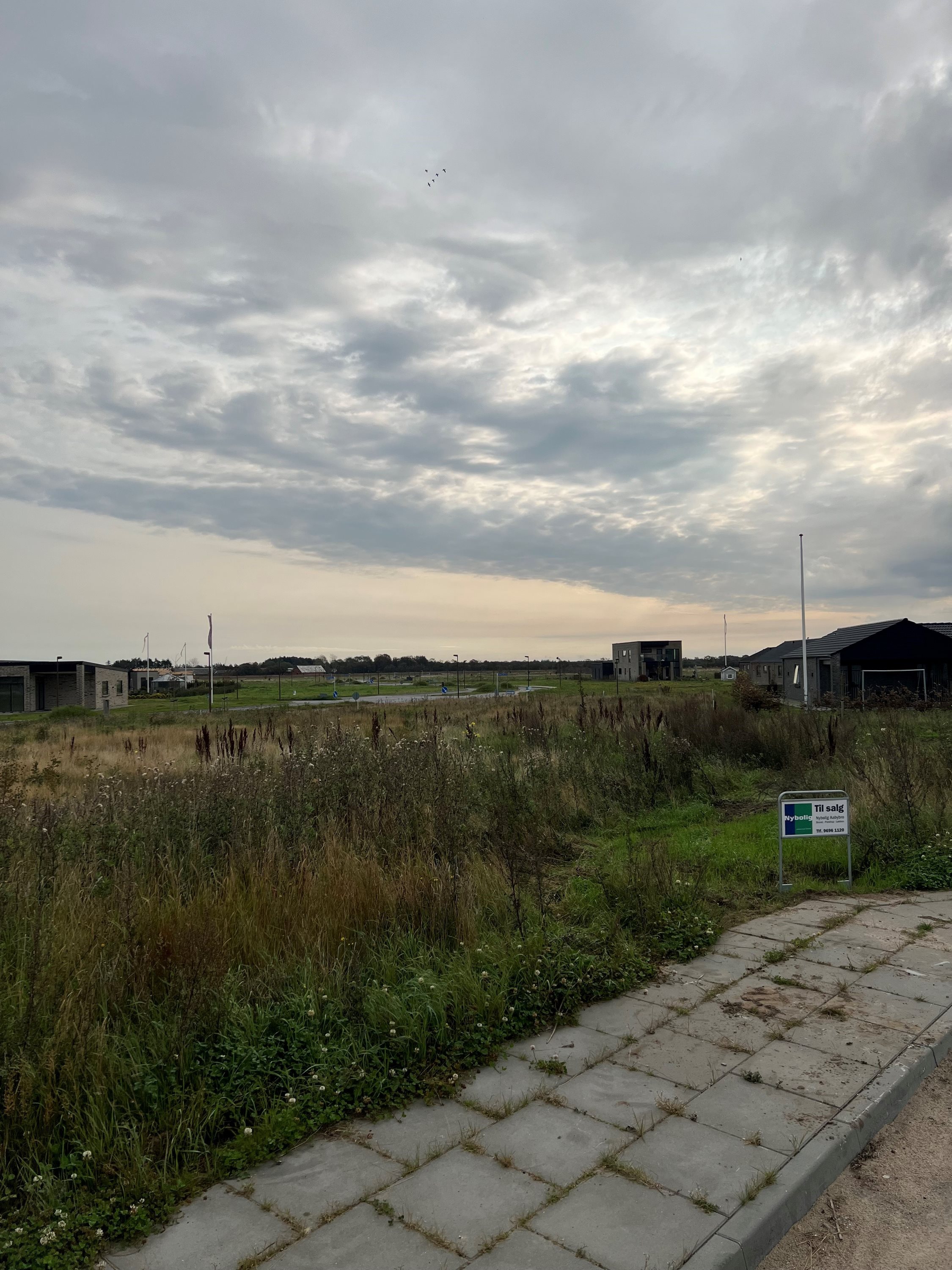 Fremhævet andet billede i fuldskærmstilstand. Billede af Præstegårdens Mark 3, 9440 Aabybro