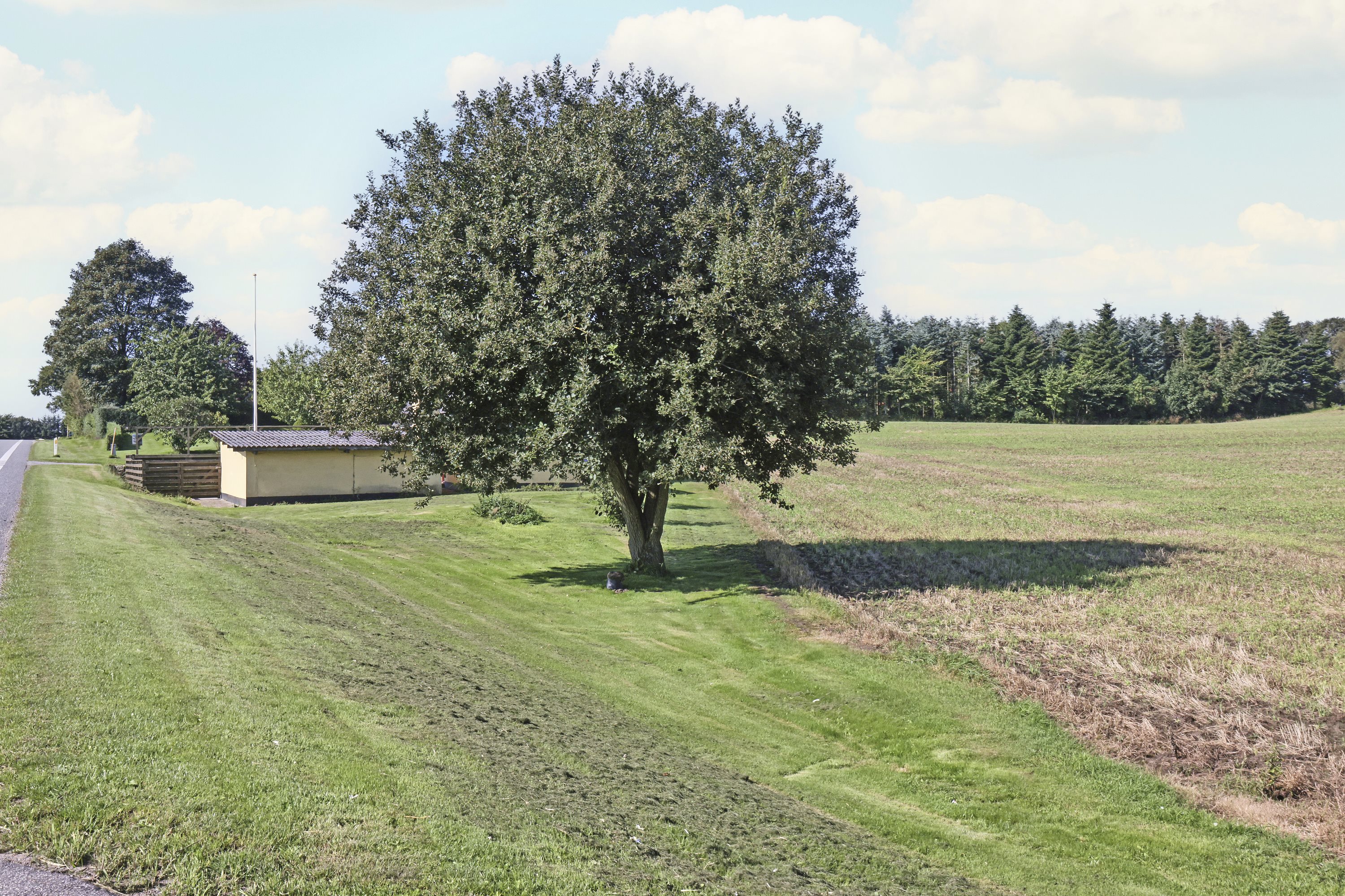 Fremhævet andet billede i fuldskærmstilstand. Billede af Østergade 81, Hulbæk, 8830 Tjele