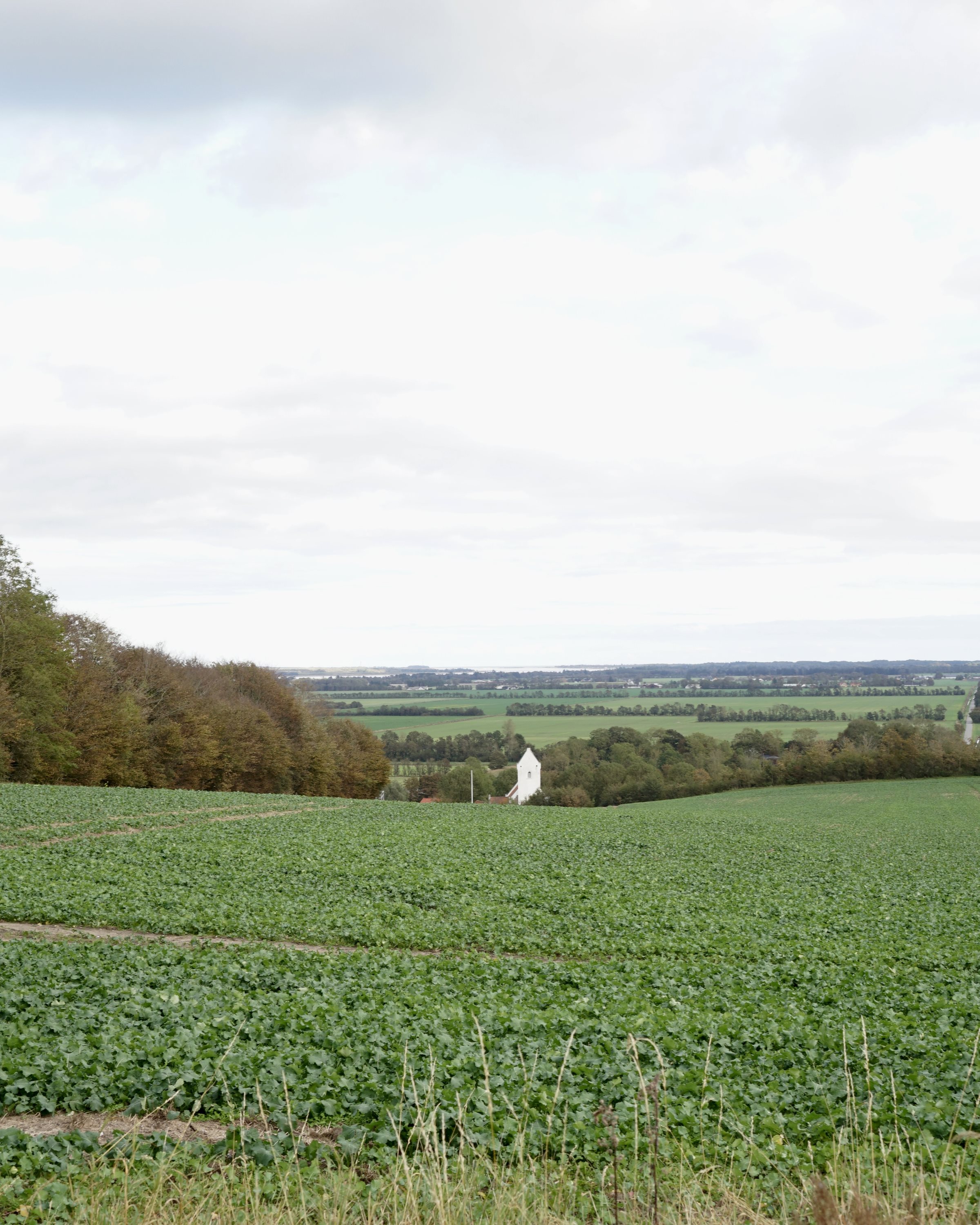 Fremhævet andet billede i fuldskærmstilstand. Billede af Kildebækhøj 34, Sejlflod, 9280 Storvorde