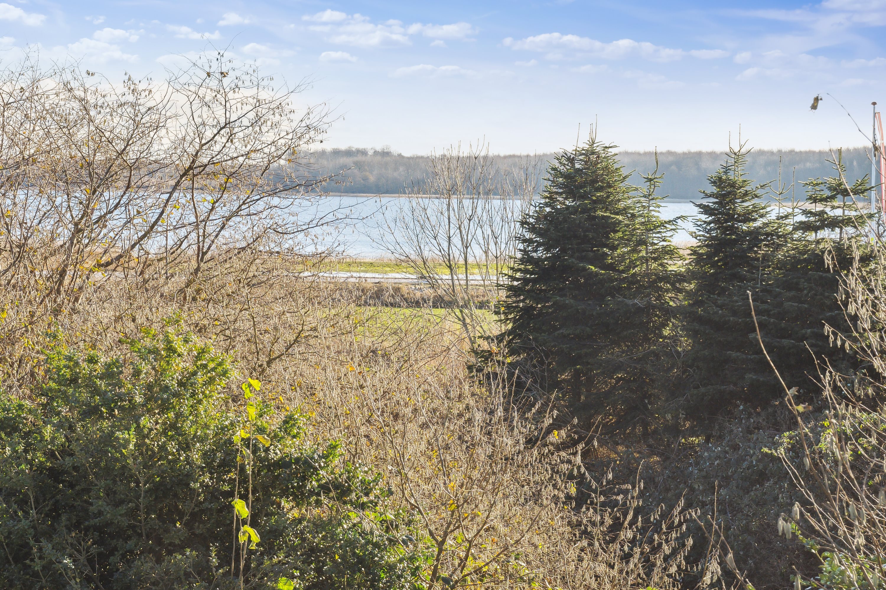 Fremhævet udendørs billede i fuldskærmstilstand. Billede af Bredeshave Strand 14, Gammel Tappernøje, 4733 Tappernøje