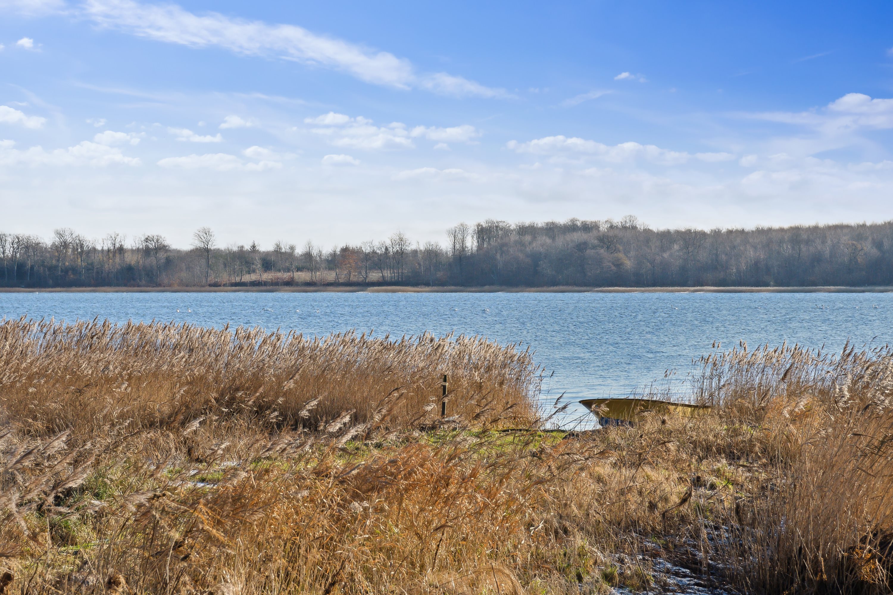 Fremhævet udendørs billede i fuldskærmstilstand. Billede af Bredeshave Strand 14, Gammel Tappernøje, 4733 Tappernøje