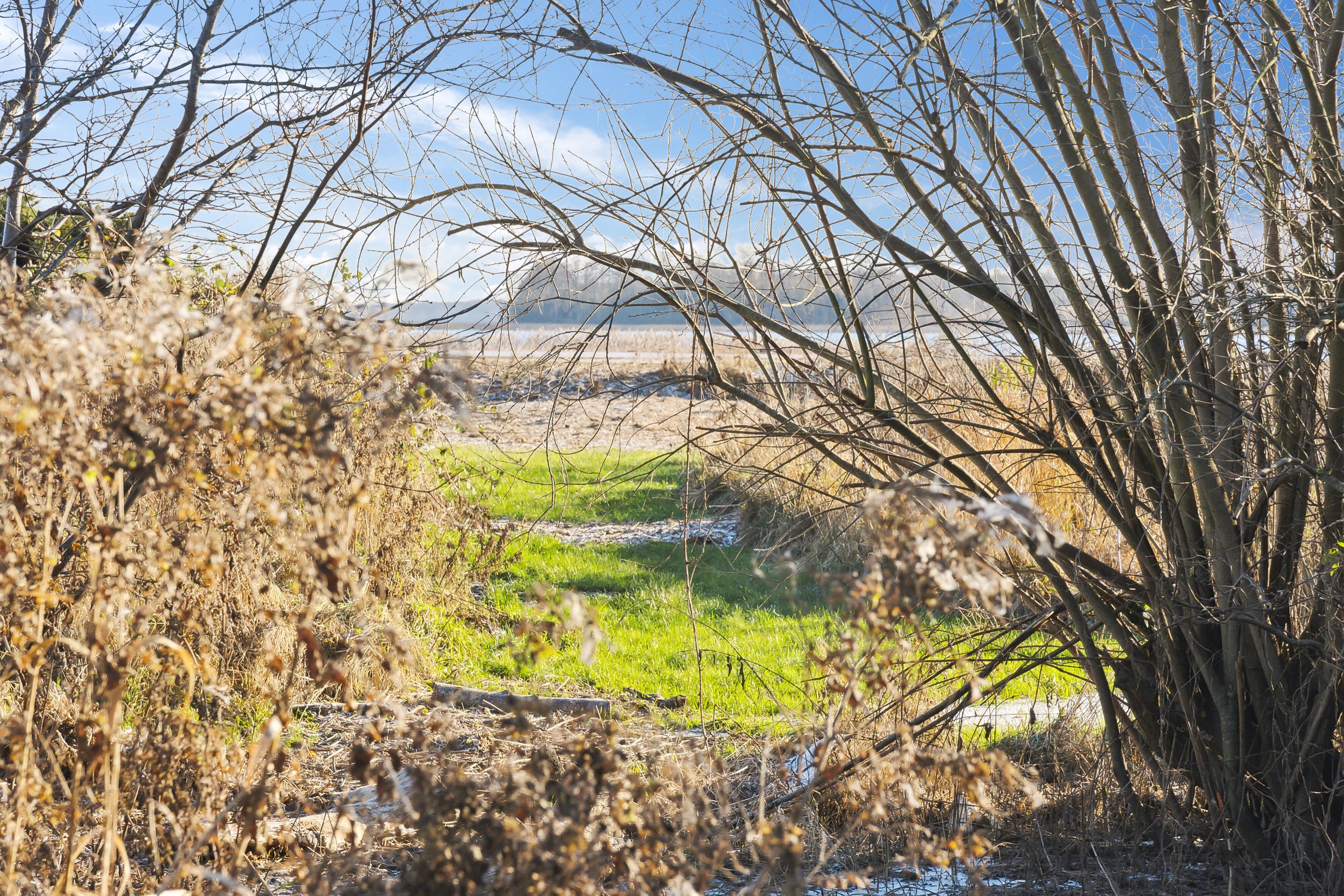 Fremhævet udendørs billede i fuldskærmstilstand. Billede af Bredeshave Strand 14, Gammel Tappernøje, 4733 Tappernøje