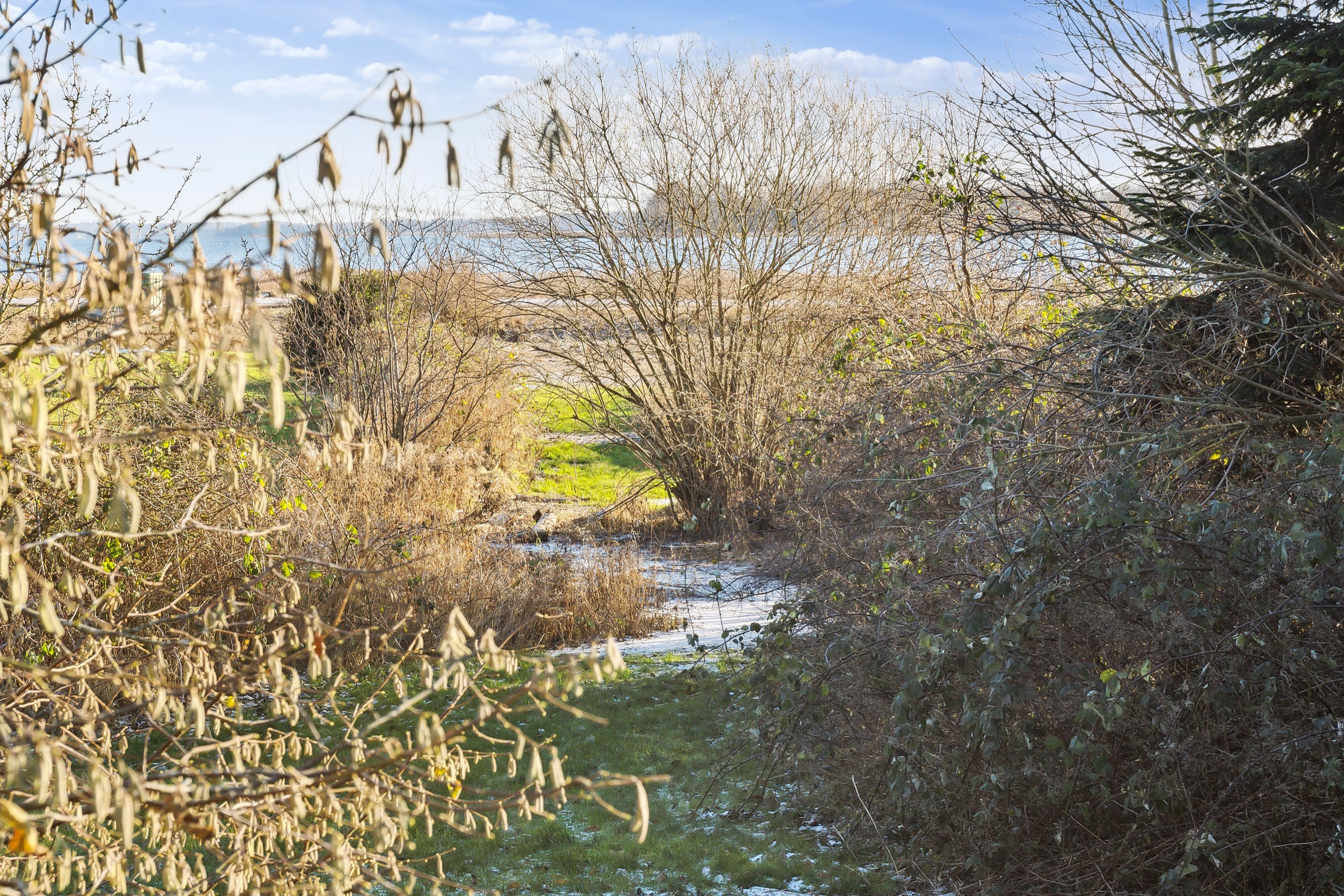 Fremhævet udendørs billede i fuldskærmstilstand. Billede af Bredeshave Strand 14, Gammel Tappernøje, 4733 Tappernøje