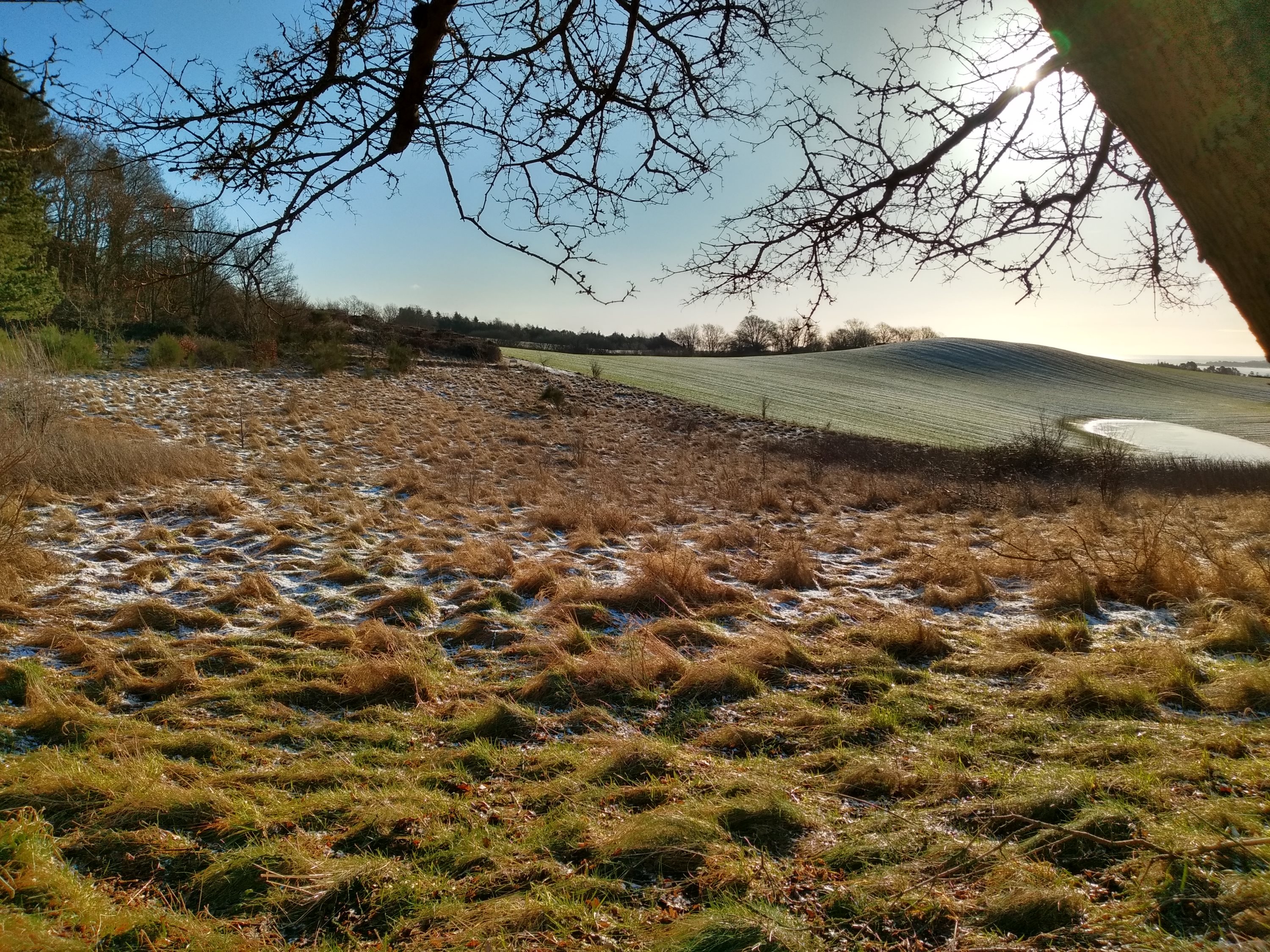 Fremhævet grund billede i fuldskærmstilstand. Billede af Skovsangervej 7, Begtrup, 8420 Knebel