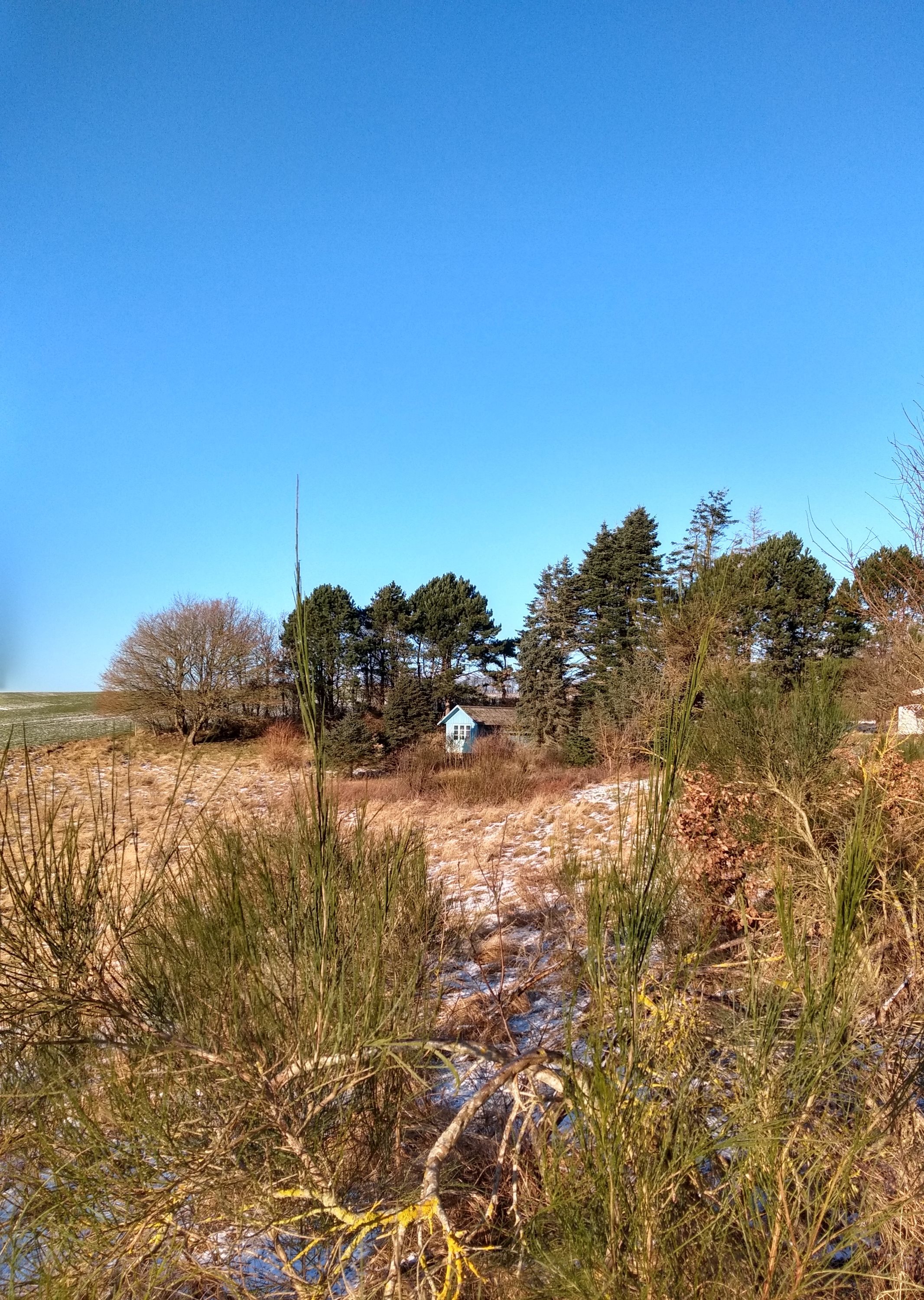 Fremhævet grund billede i fuldskærmstilstand. Billede af Skovsangervej 7, Begtrup, 8420 Knebel