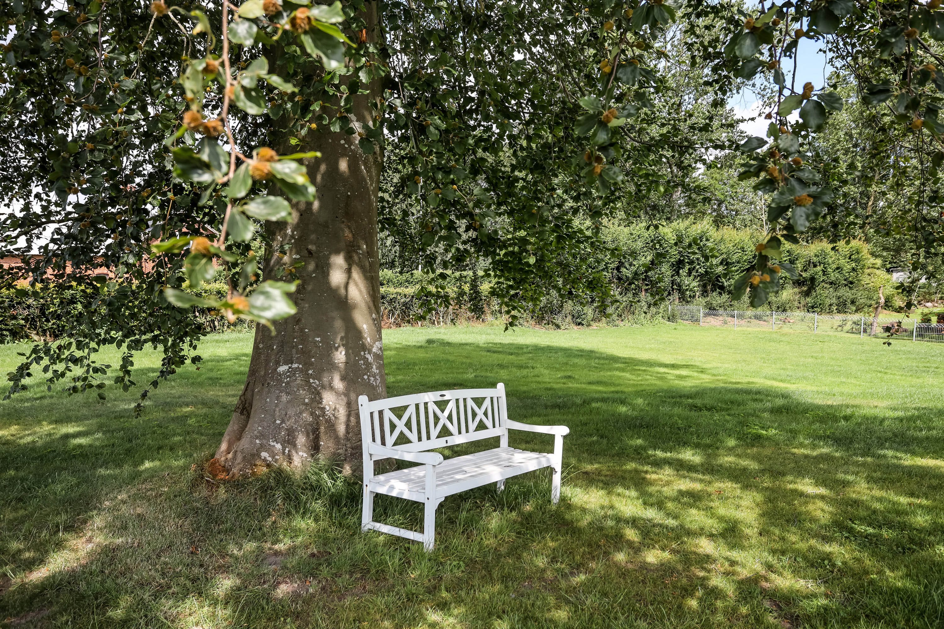 Fremhævet grund billede i fuldskærmstilstand. Billede af Honumvej 37, Honum, 8763 Rask Mølle