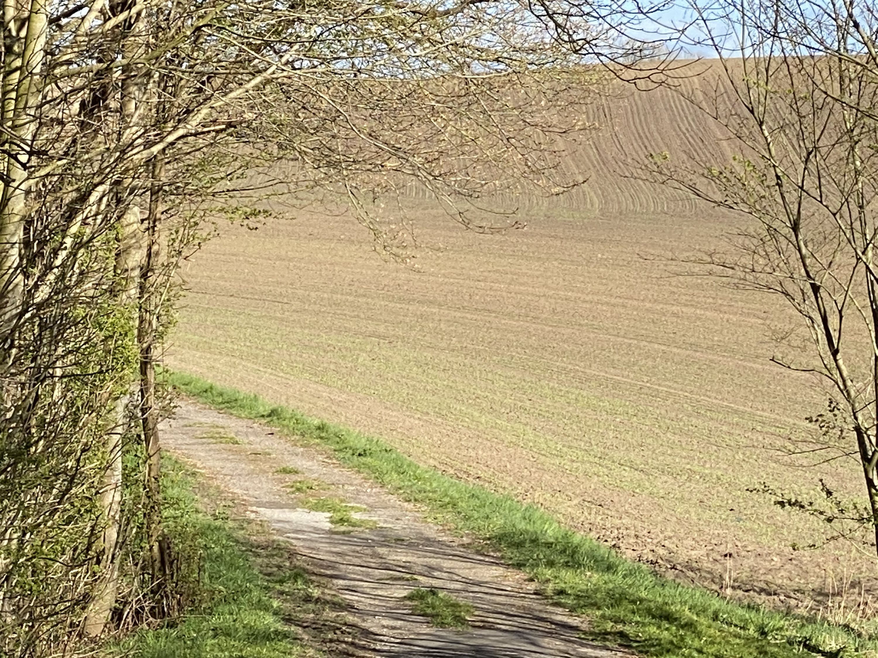 Fremhævet område billede i fuldskærmstilstand. Billede af Ølbygaardparken 20, 7600 Struer