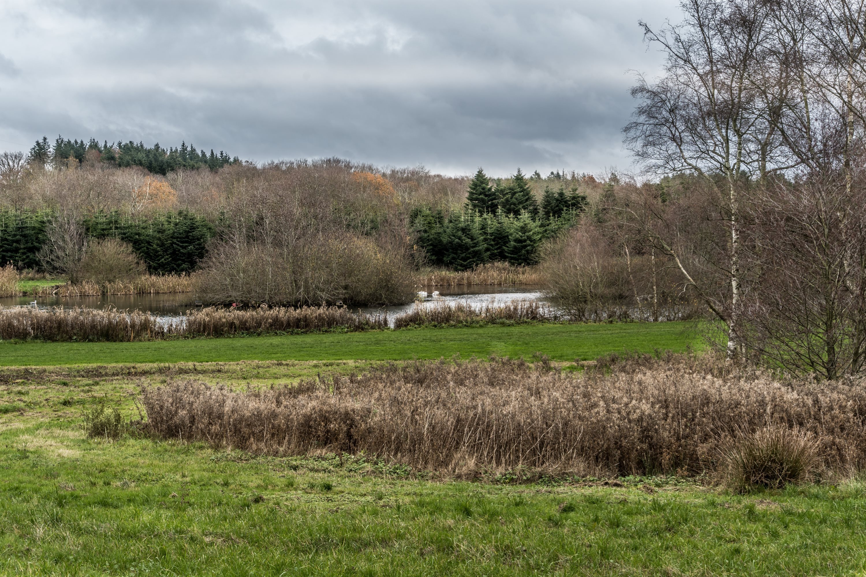 Fremhævet andet billede i fuldskærmstilstand. Billede af Mølbjerget 8, Rodskov, 8543 Hornslet