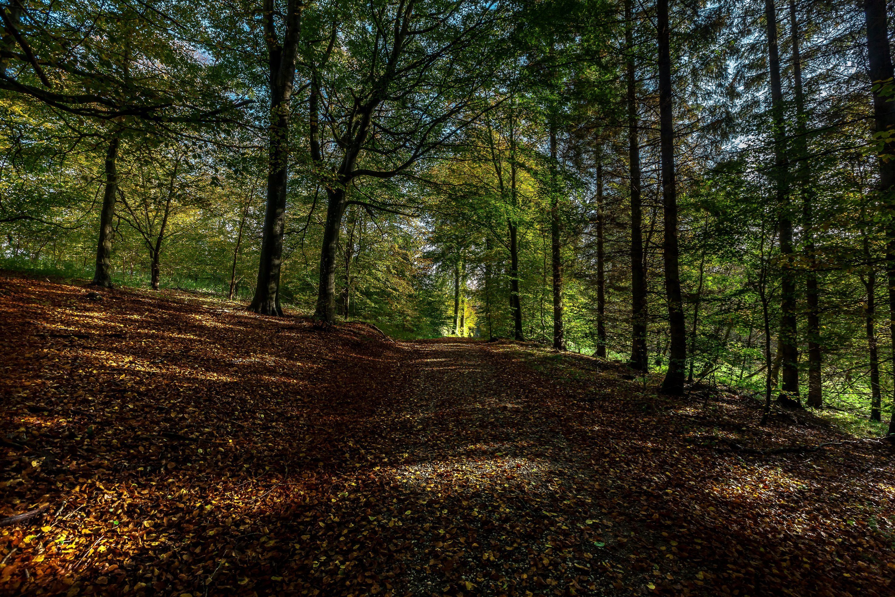 Fremhævet andet billede i fuldskærmstilstand. Billede af Mølbjerget 8, Rodskov, 8543 Hornslet