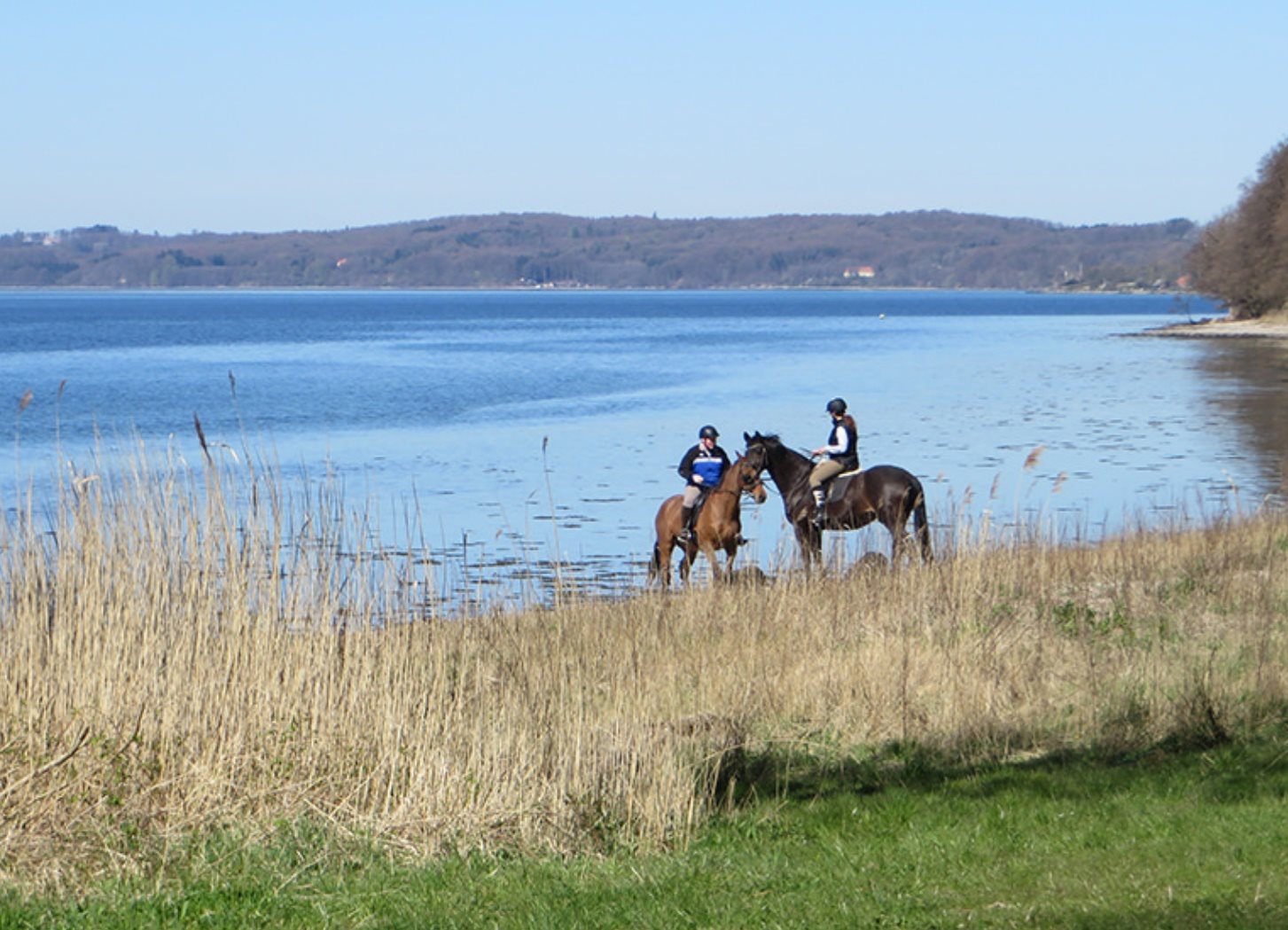 Fremhævet område billede i fuldskærmstilstand. Billede af Skovhavegård 23, 7140 Stouby