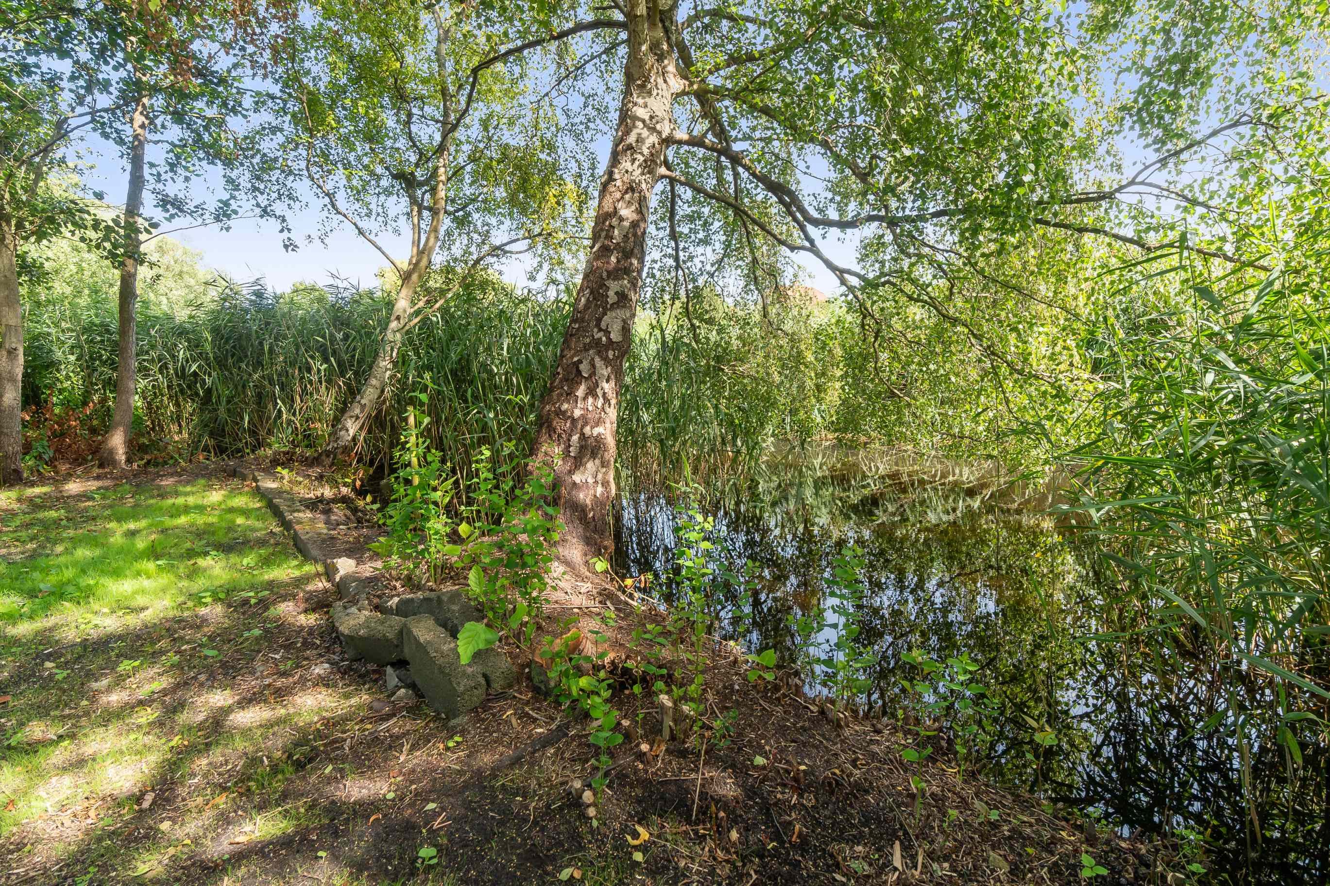 Fremhævet haven/åen billede i fuldskærmstilstand. Billede af Adelgade 68, 4720 Præstø