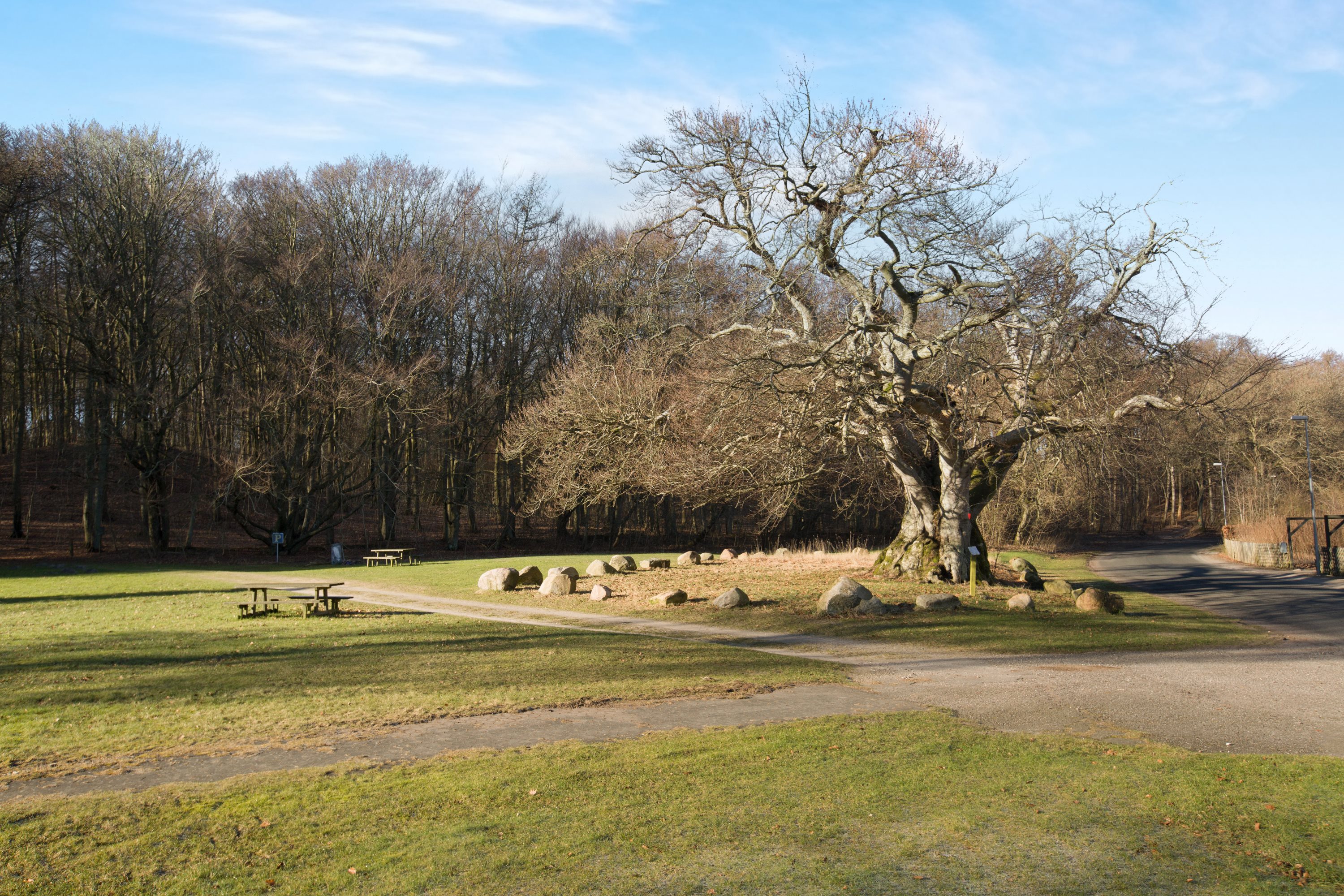 Fremhævet grund billede i fuldskærmstilstand. Billede af Rimsti Bakken 3, Gjerrild, 8500 Grenaa