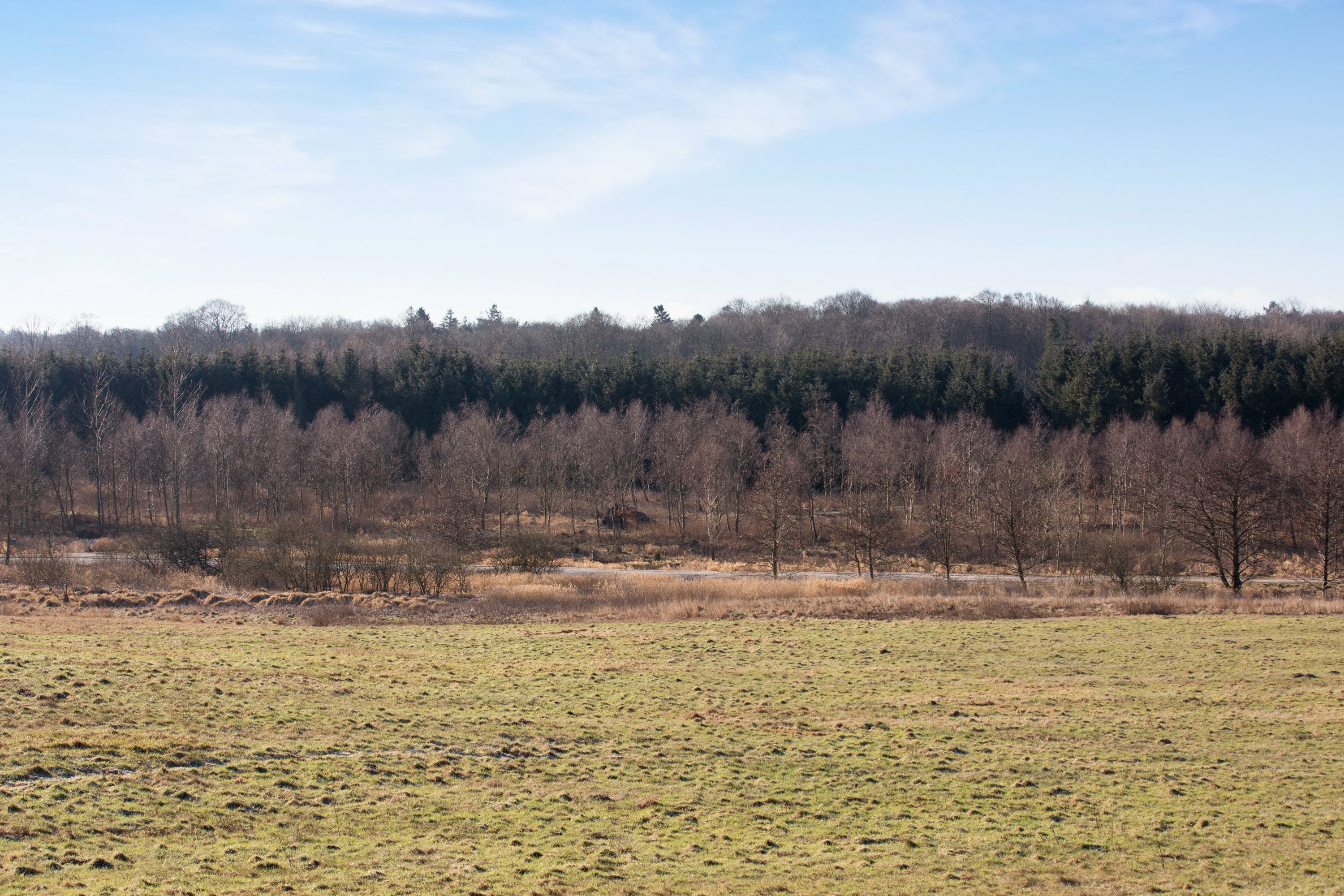 Fremhævet grund billede i fuldskærmstilstand. Billede af Rimsti Bakken 3, Gjerrild, 8500 Grenaa