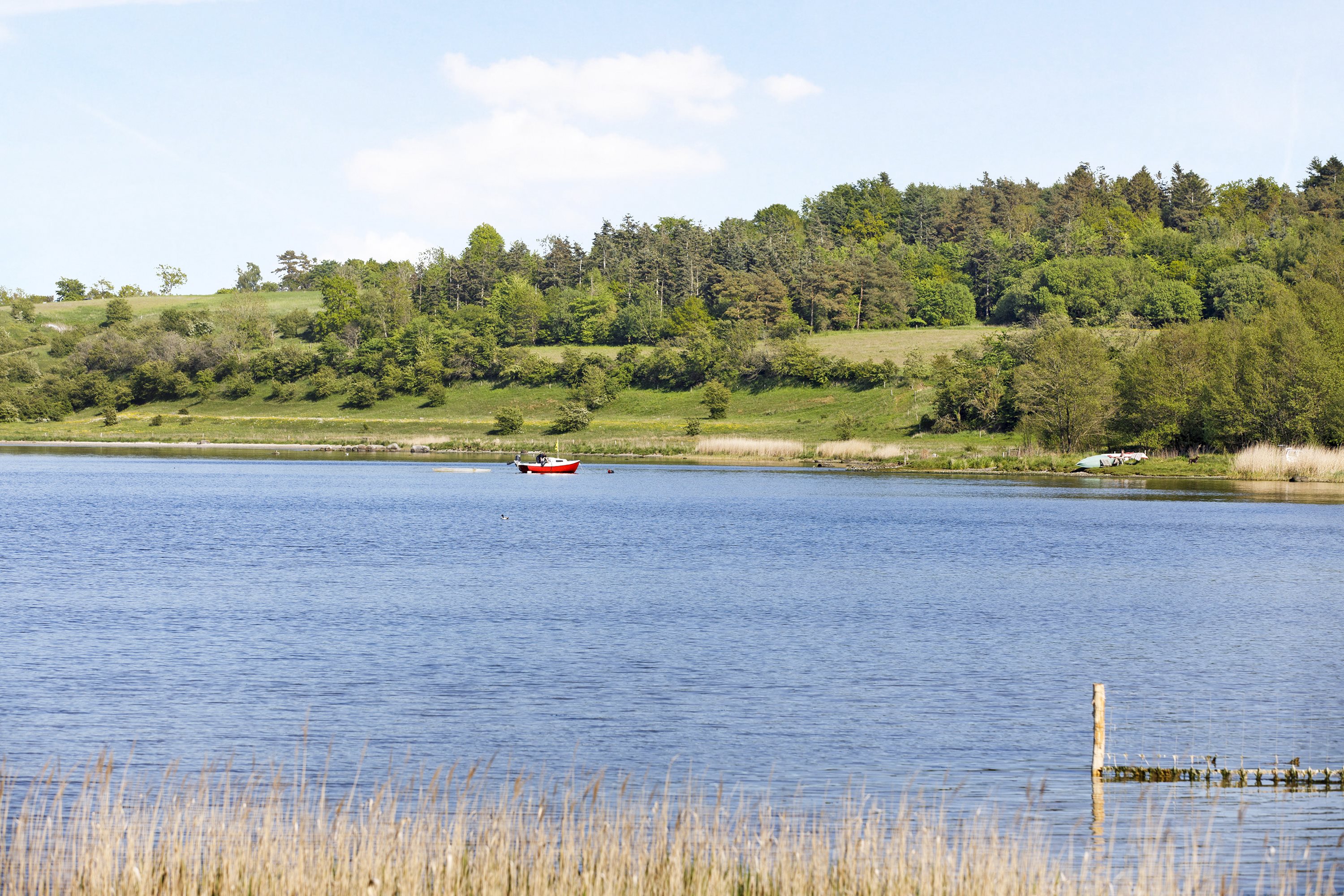 Fremhævet andet billede i fuldskærmstilstand. Billede af Kongsdalparken 24, Assens, 9550 Mariager